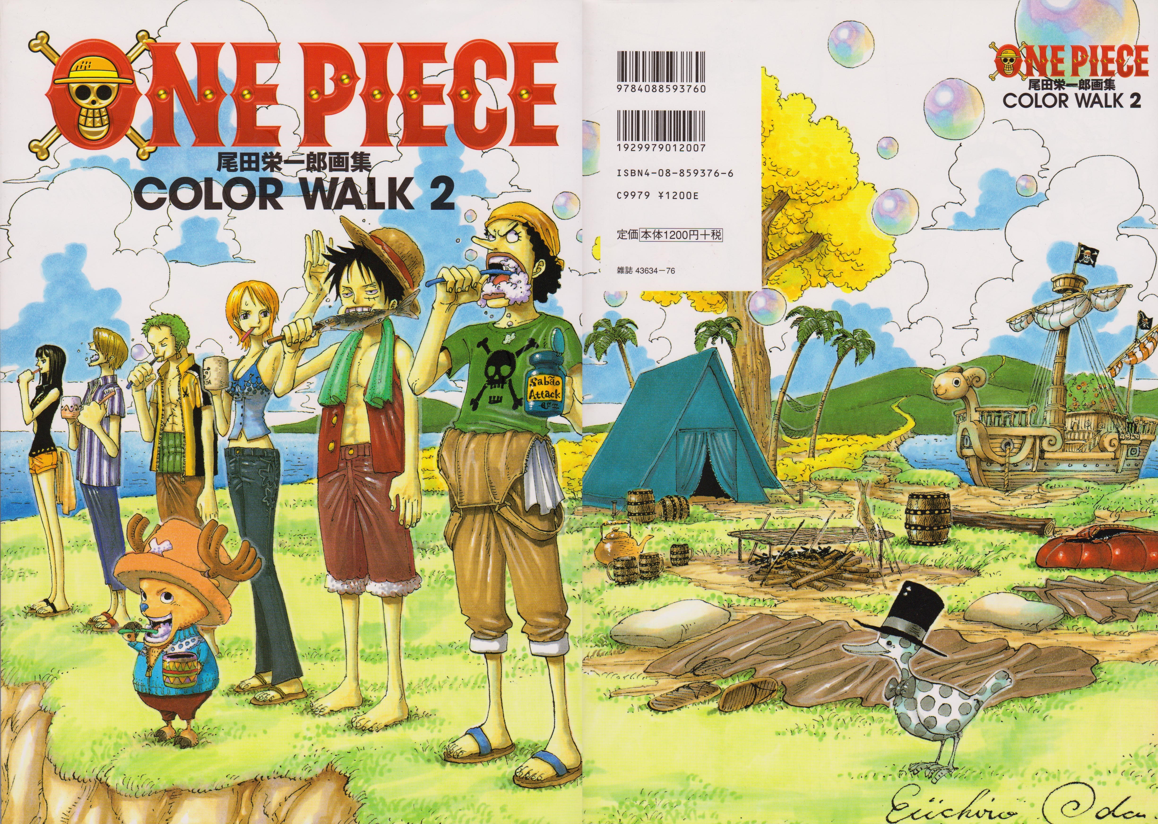 One Piece Color Walk 2 Book Cover HD Wallpaper