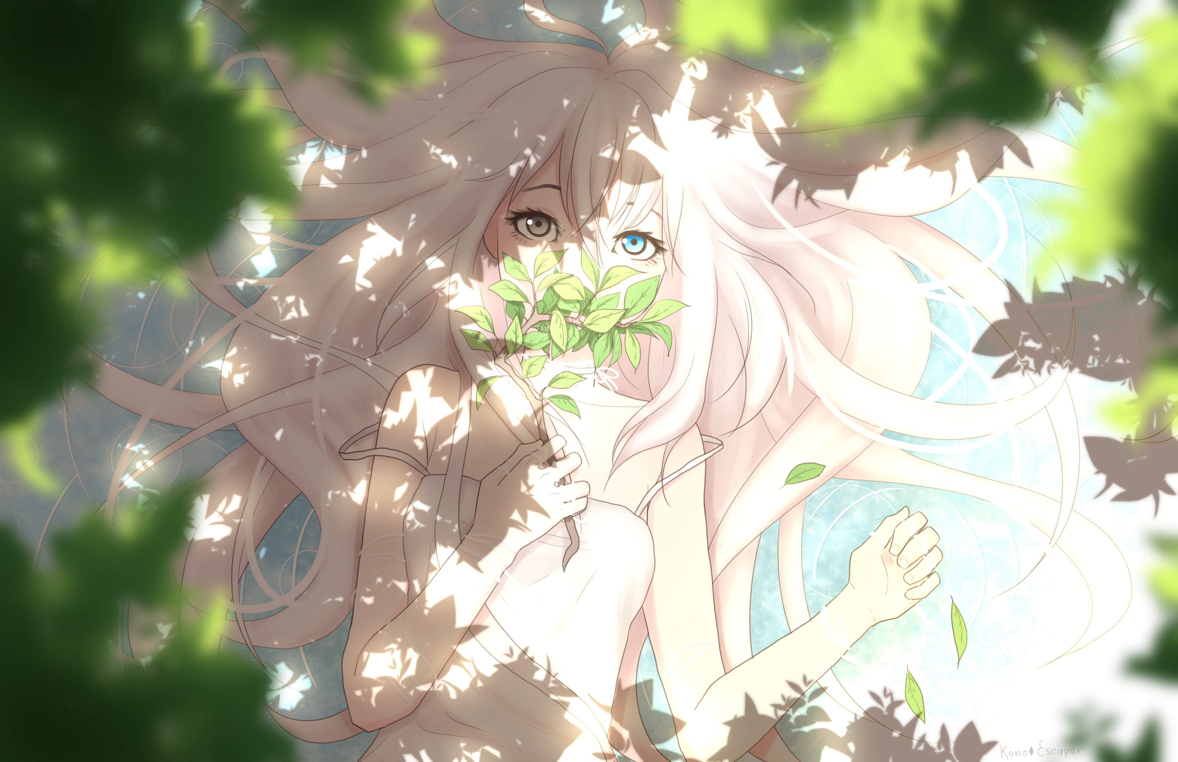 Anime girl with heterochromia and white hair HD Wallpaper