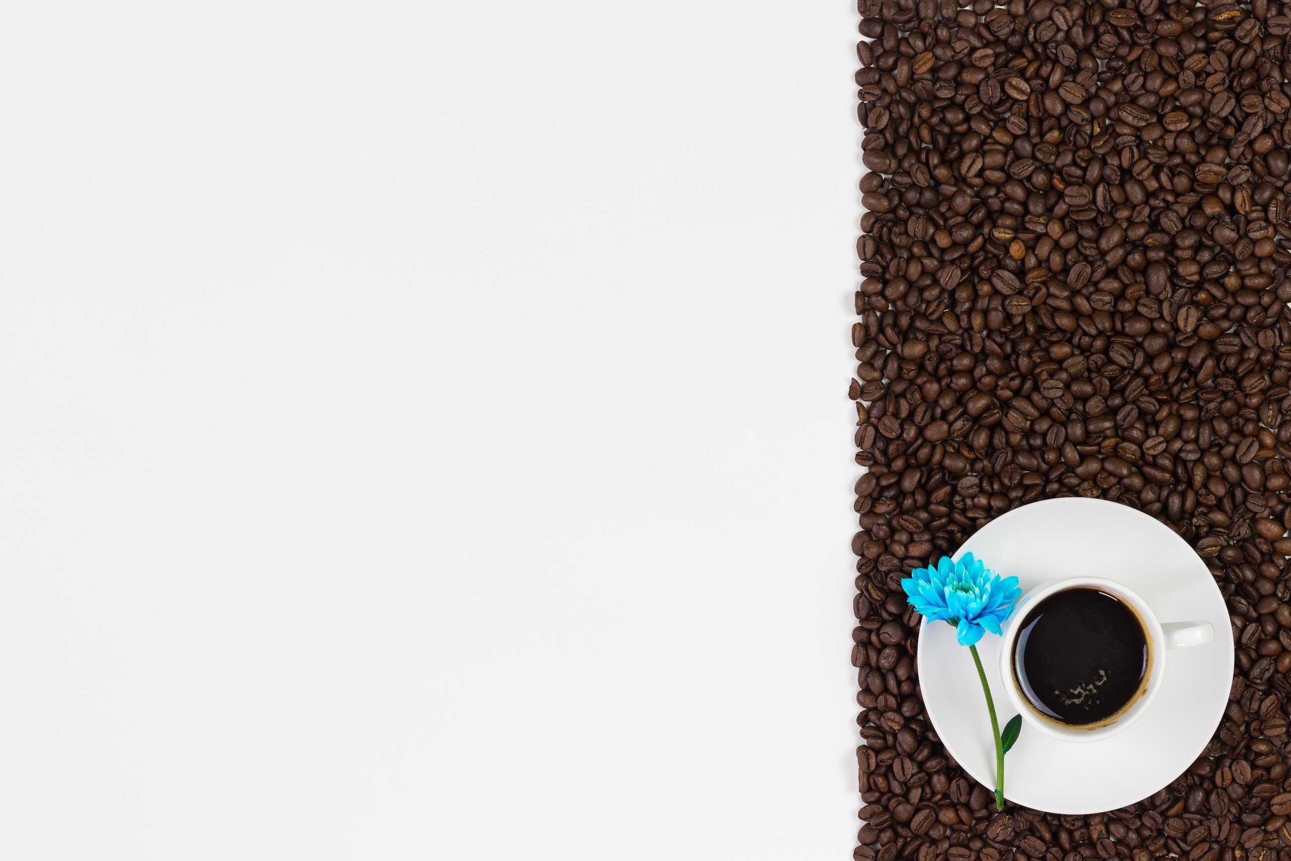 Cup of coffee with blue flower and coffee beans HD Wallpaper