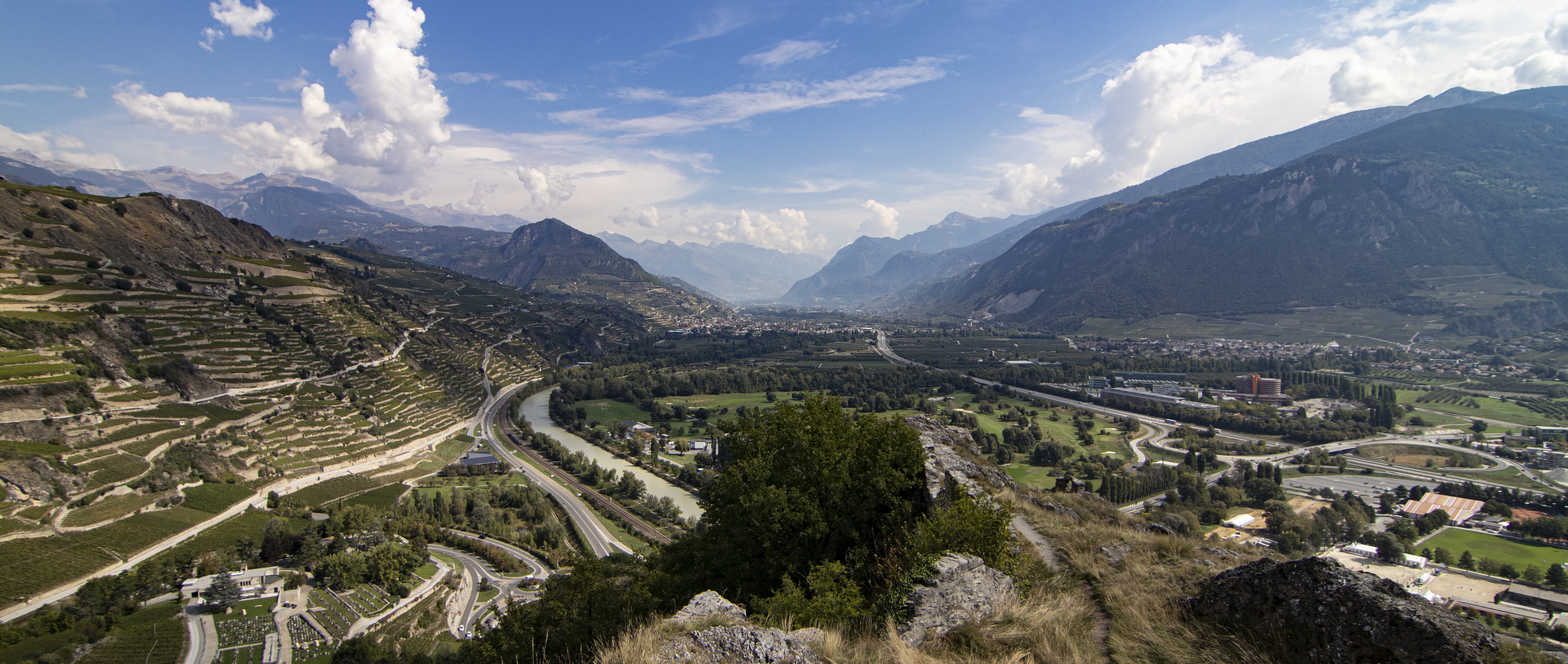 Vineyard panorama in the Swiss Alps HD Wallpaper
