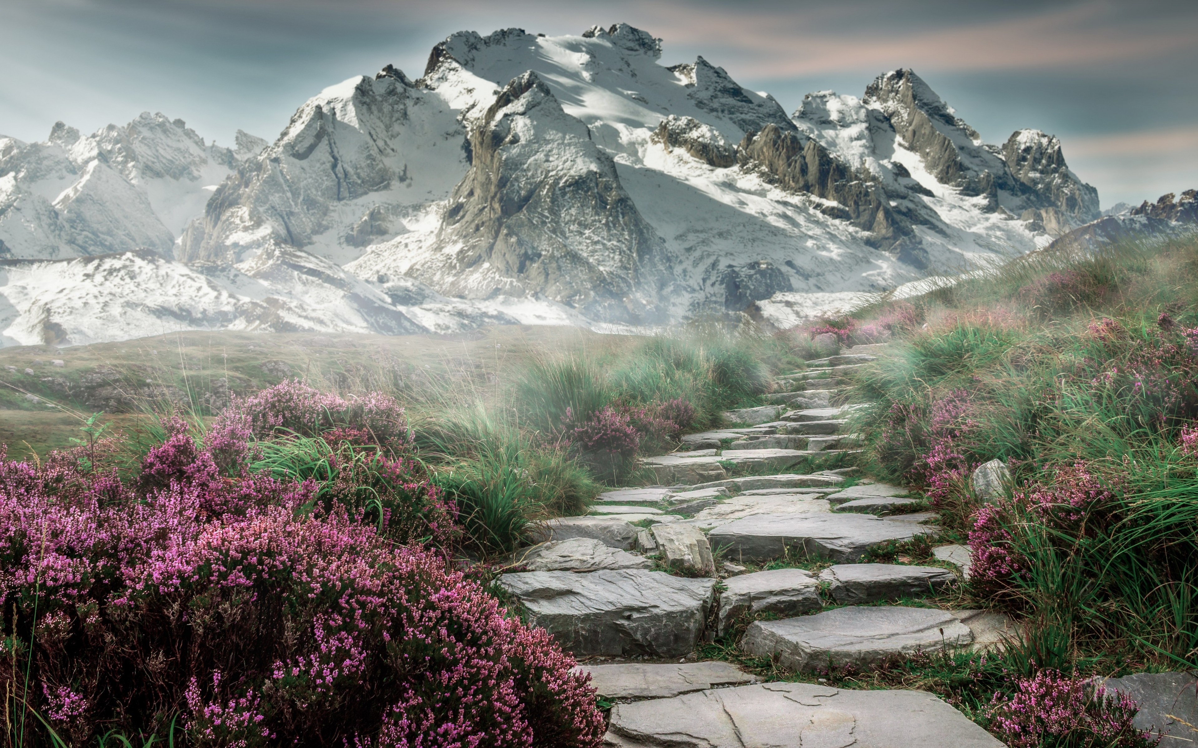 Stone path through heather to snowy mountains HD Wallpaper