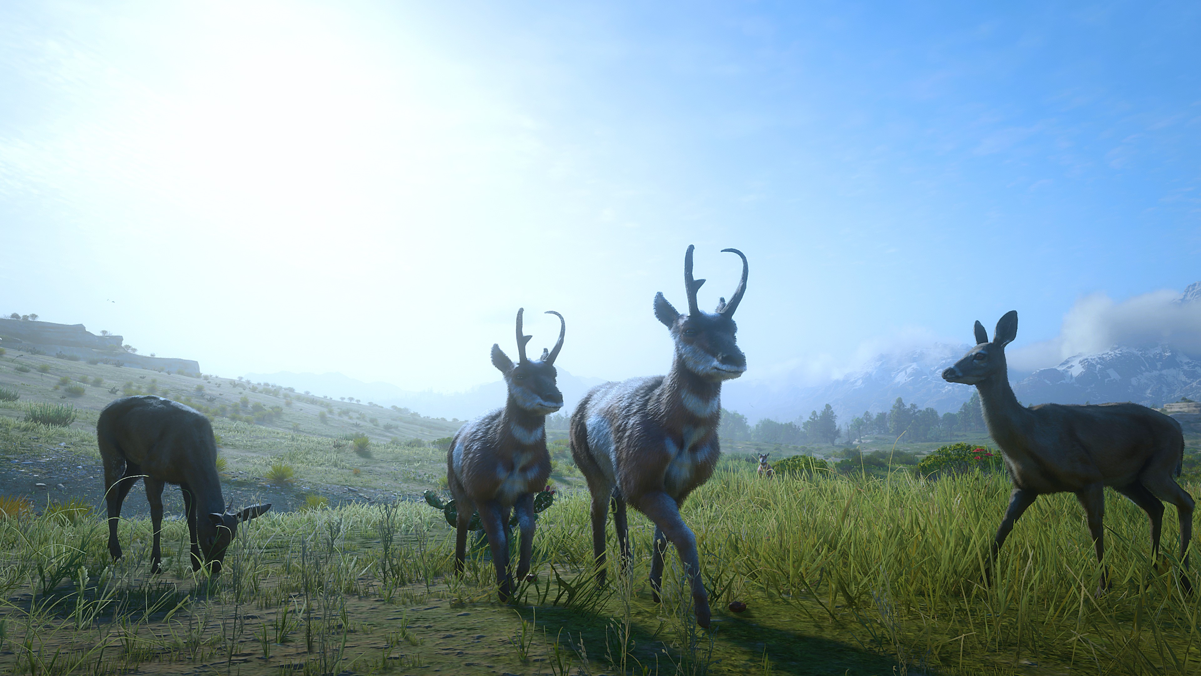 Red Dead Redemption 2 4K screenshot of pronghorn and deer HD Wallpaper