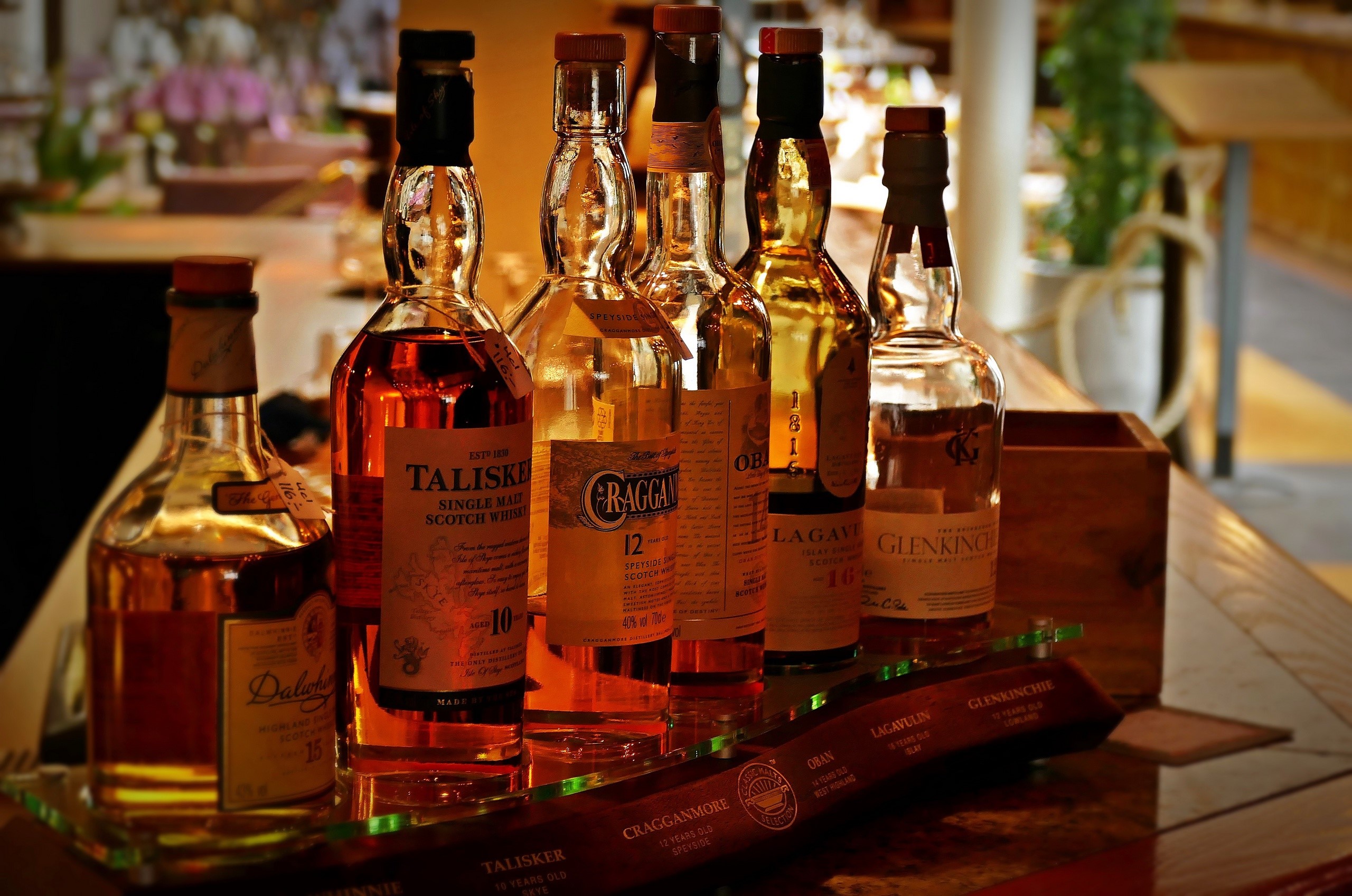 Collection of Scotch Whisky Bottles HD Wallpaper