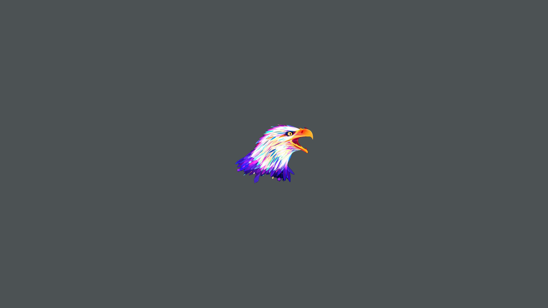 Colorful Eagle Head Artwork HD Wallpaper