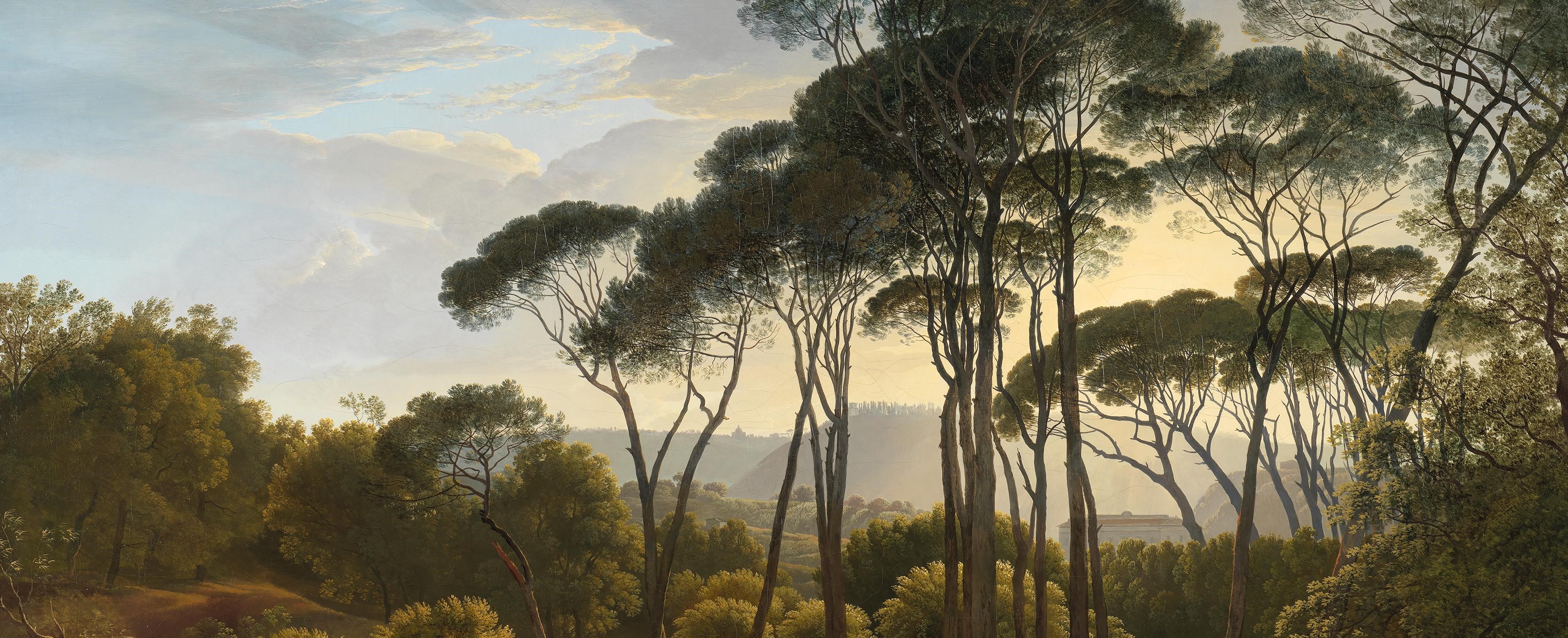 Landscape with pine trees and distant cityscape HD Wallpaper