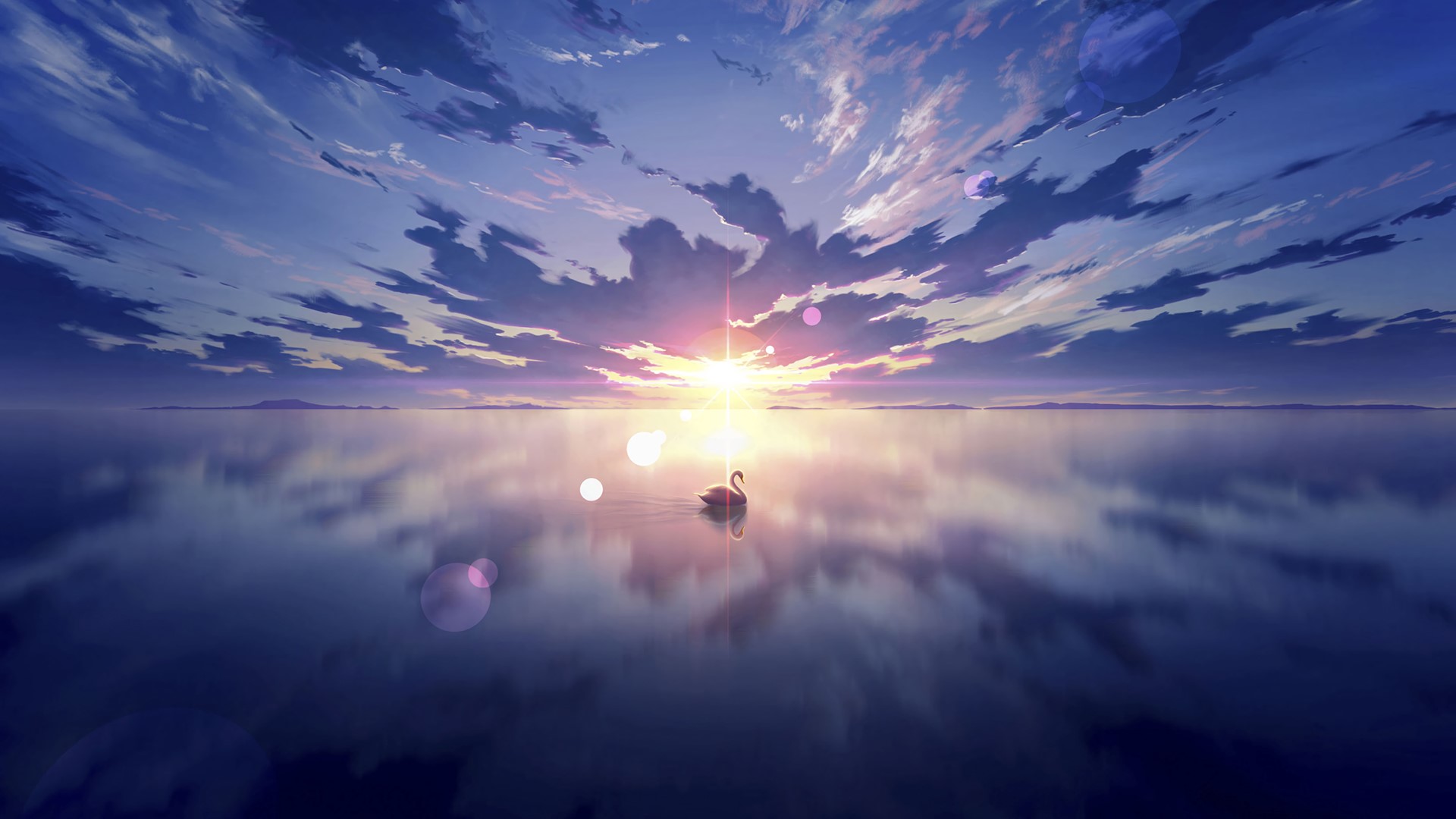 Swan on calm water during sunset with clouds HD Wallpaper