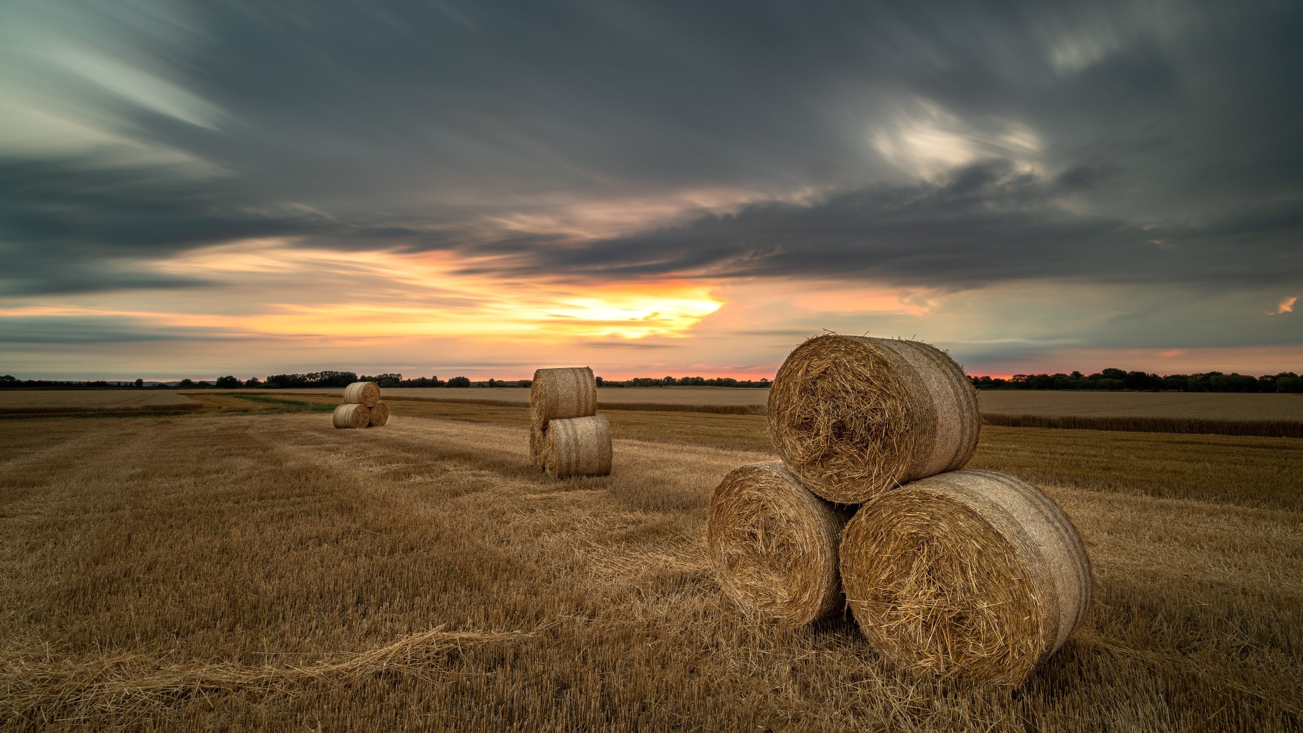 Hay bales in a field at sunset HD Wallpaper