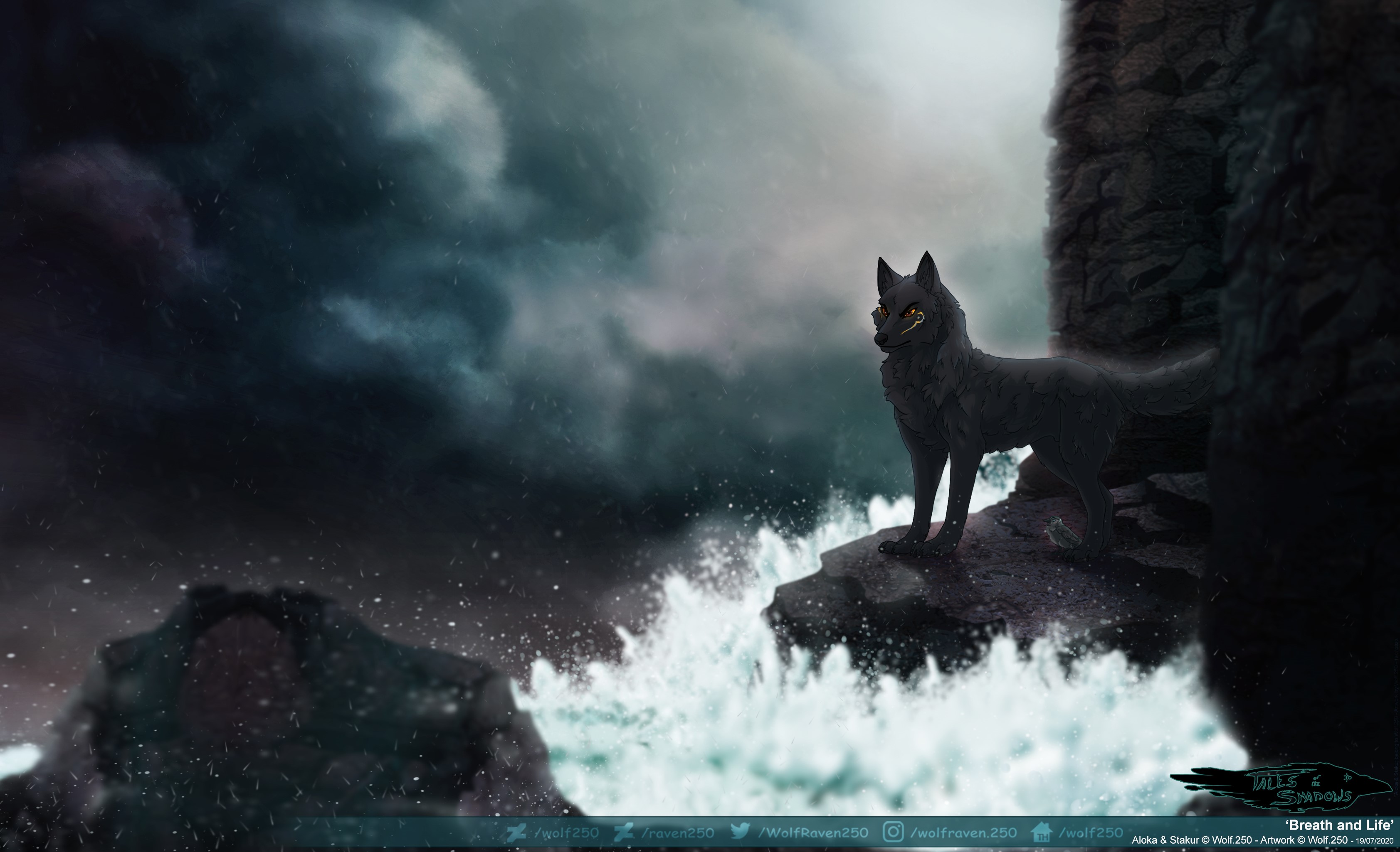 Wolf on a rocky shore during a storm HD Wallpaper