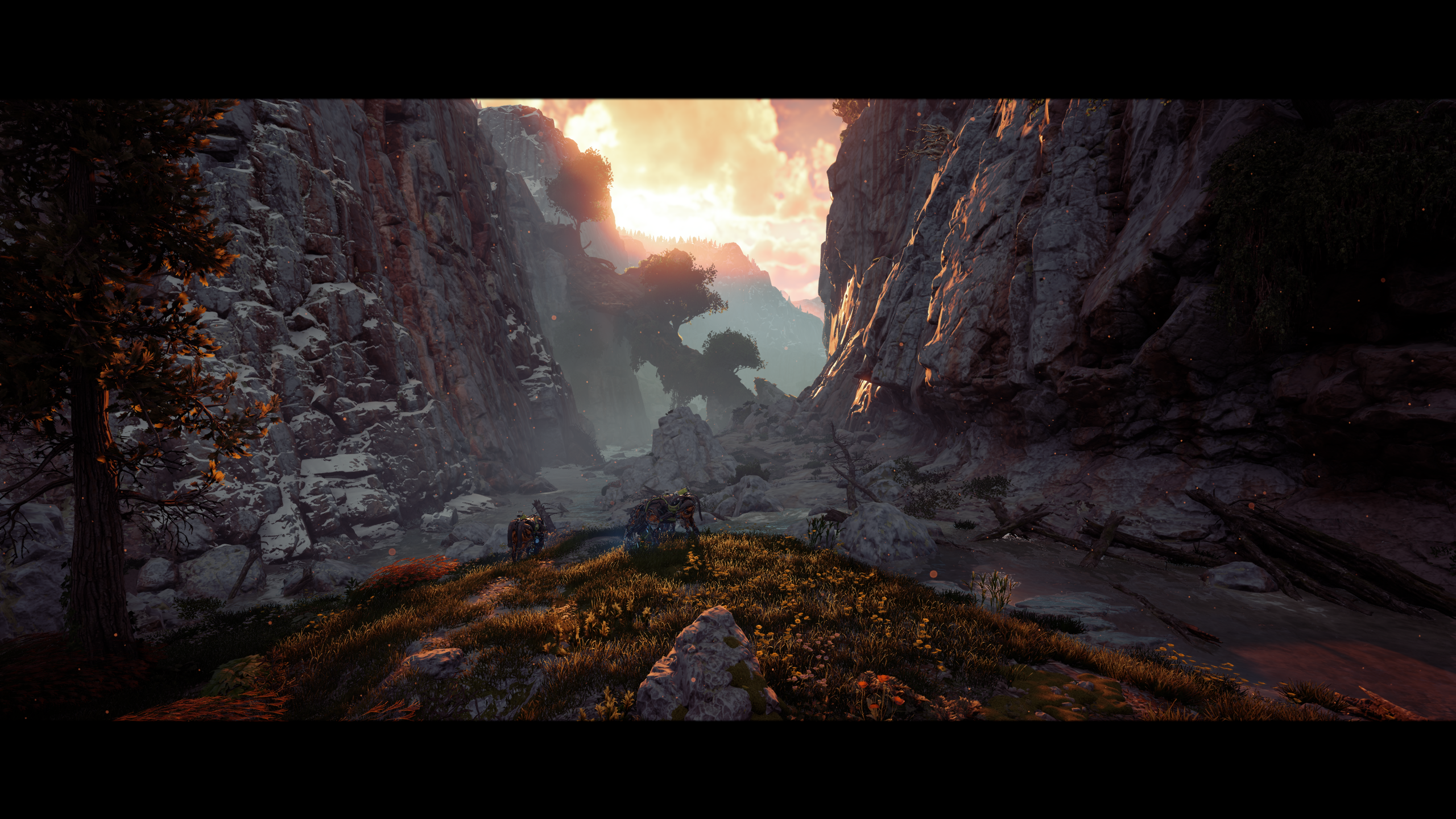 Aloy from Horizon Zero Dawn in a rocky canyon HD Wallpaper