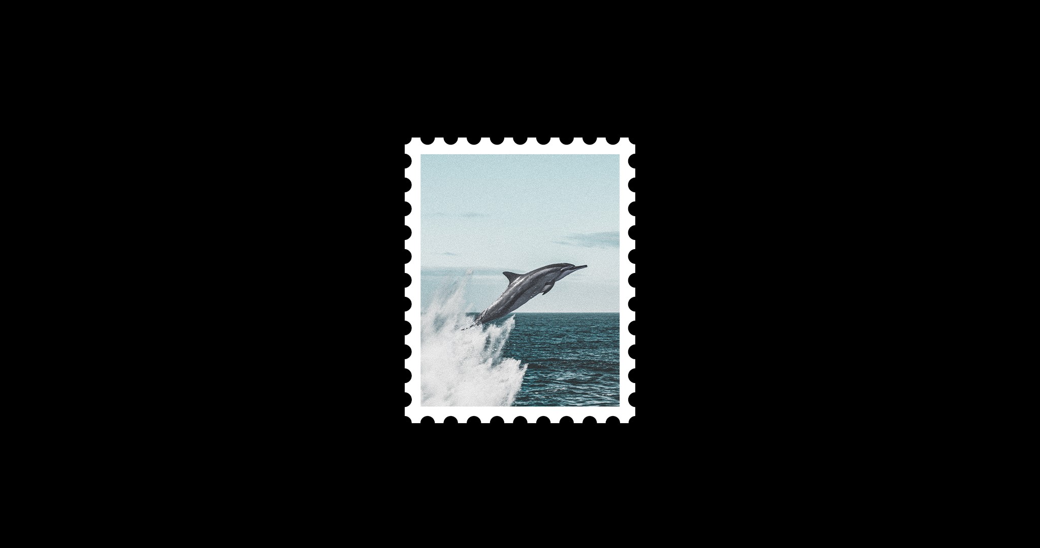 Dolphin jumping out of the water stamp HD Wallpaper