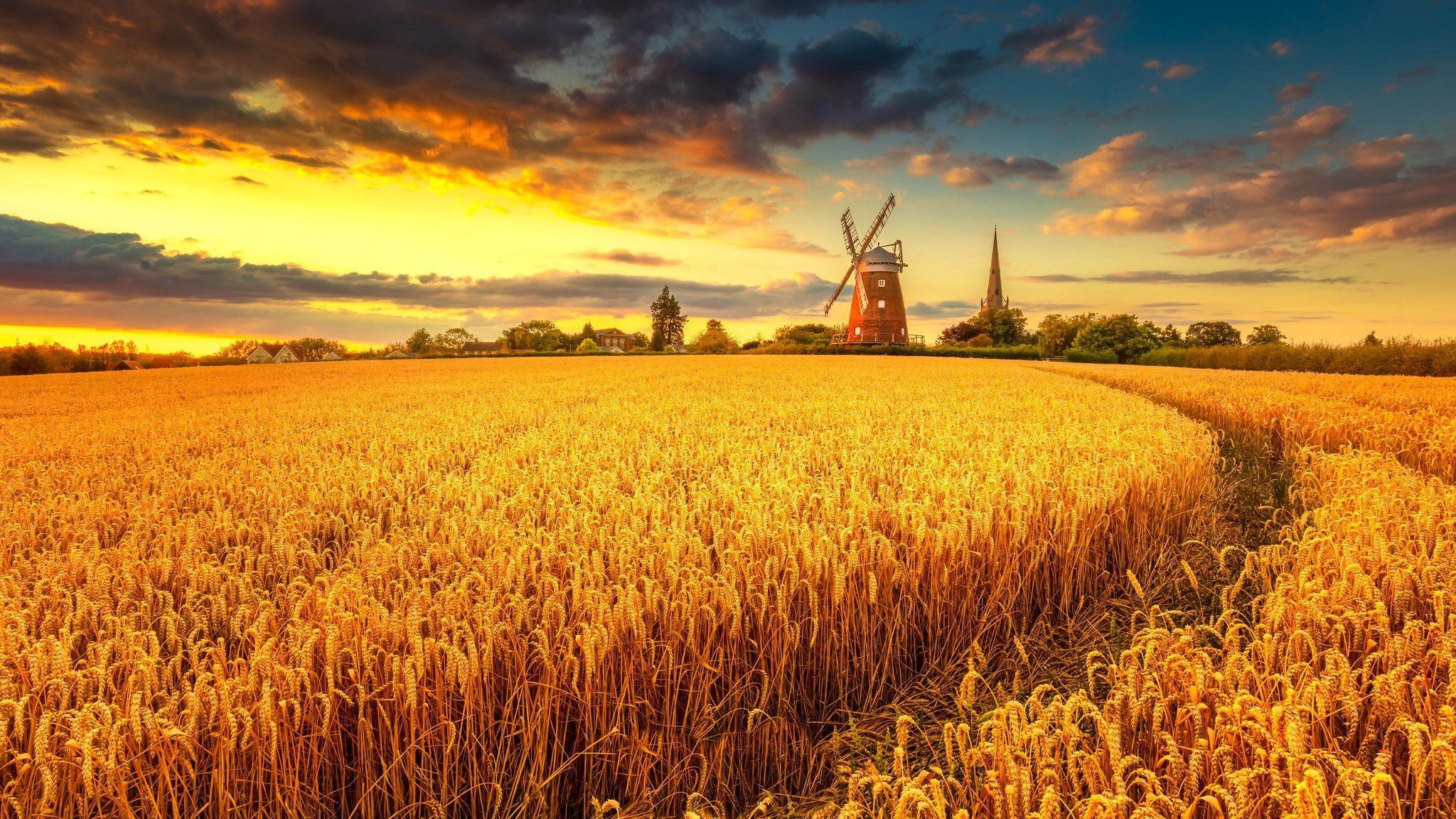 Wheat field with windmill and church at sunset HD Wallpaper