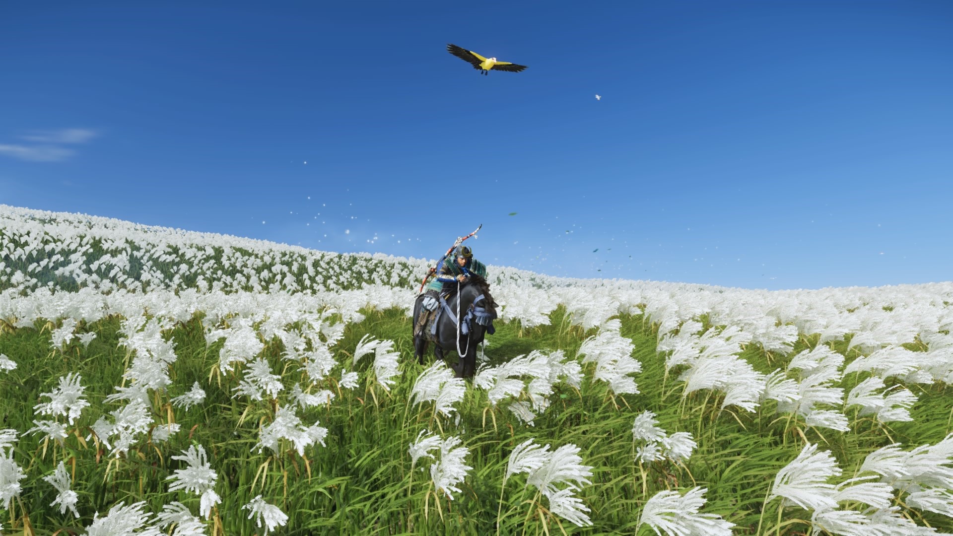 Ghost of Tsushima: Samurai on horseback in a field of pampas grass HD Wallpaper