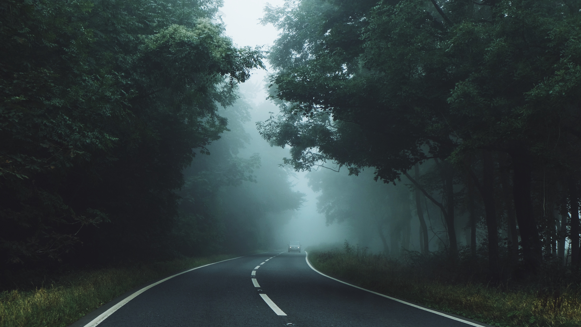 A car drives down a foggy road through a dark forest HD Wallpaper