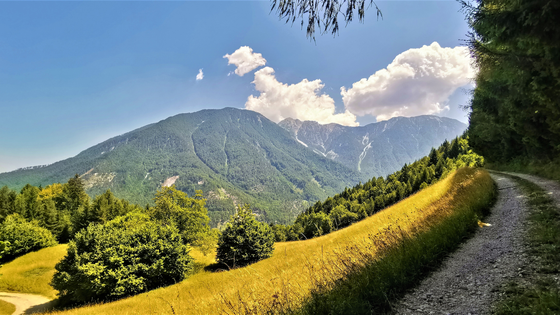Mountain landscape with a dirt road in Austria HD Wallpaper