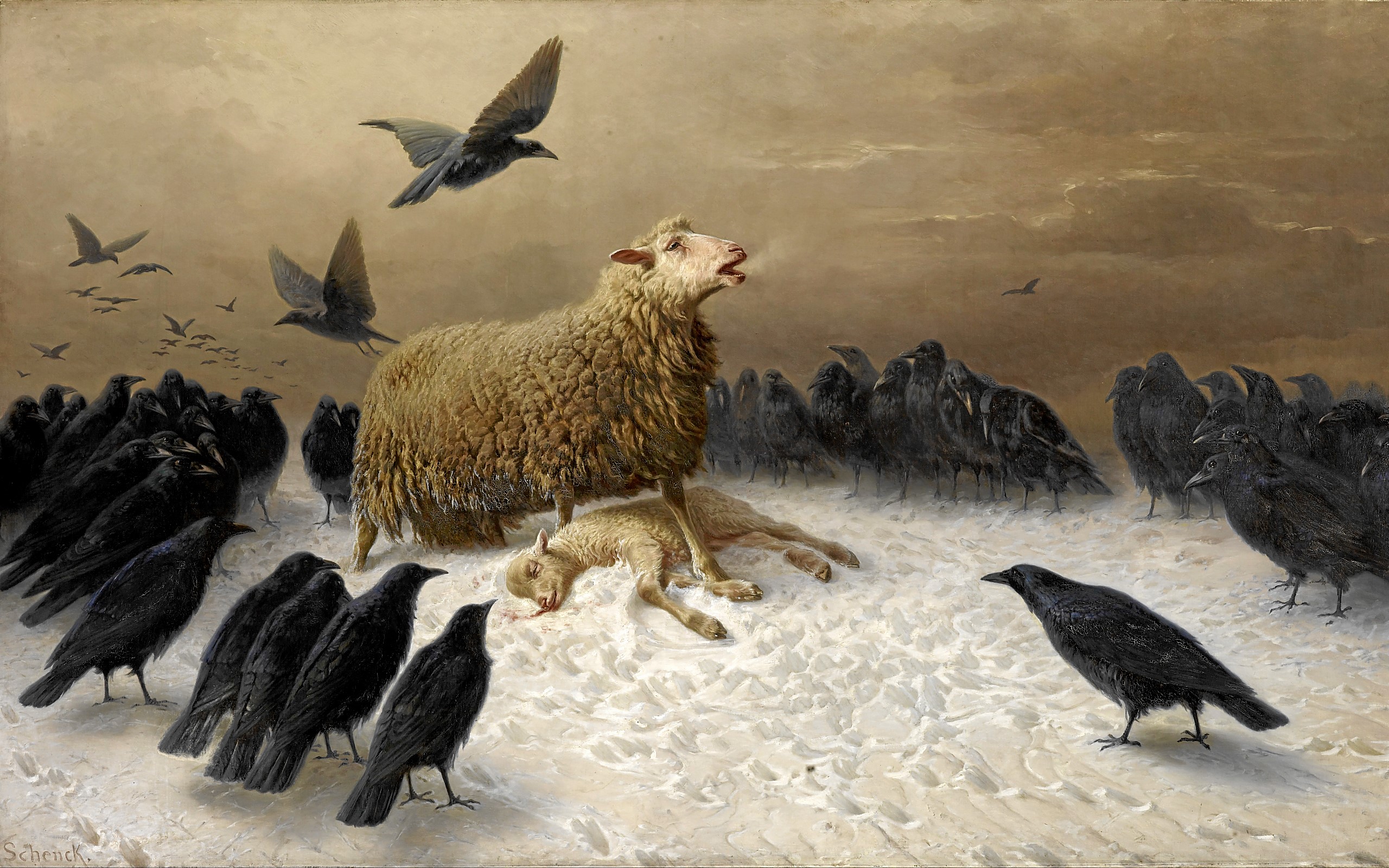 Anguish by August Friedrich Albrecht Schenck HD Wallpaper