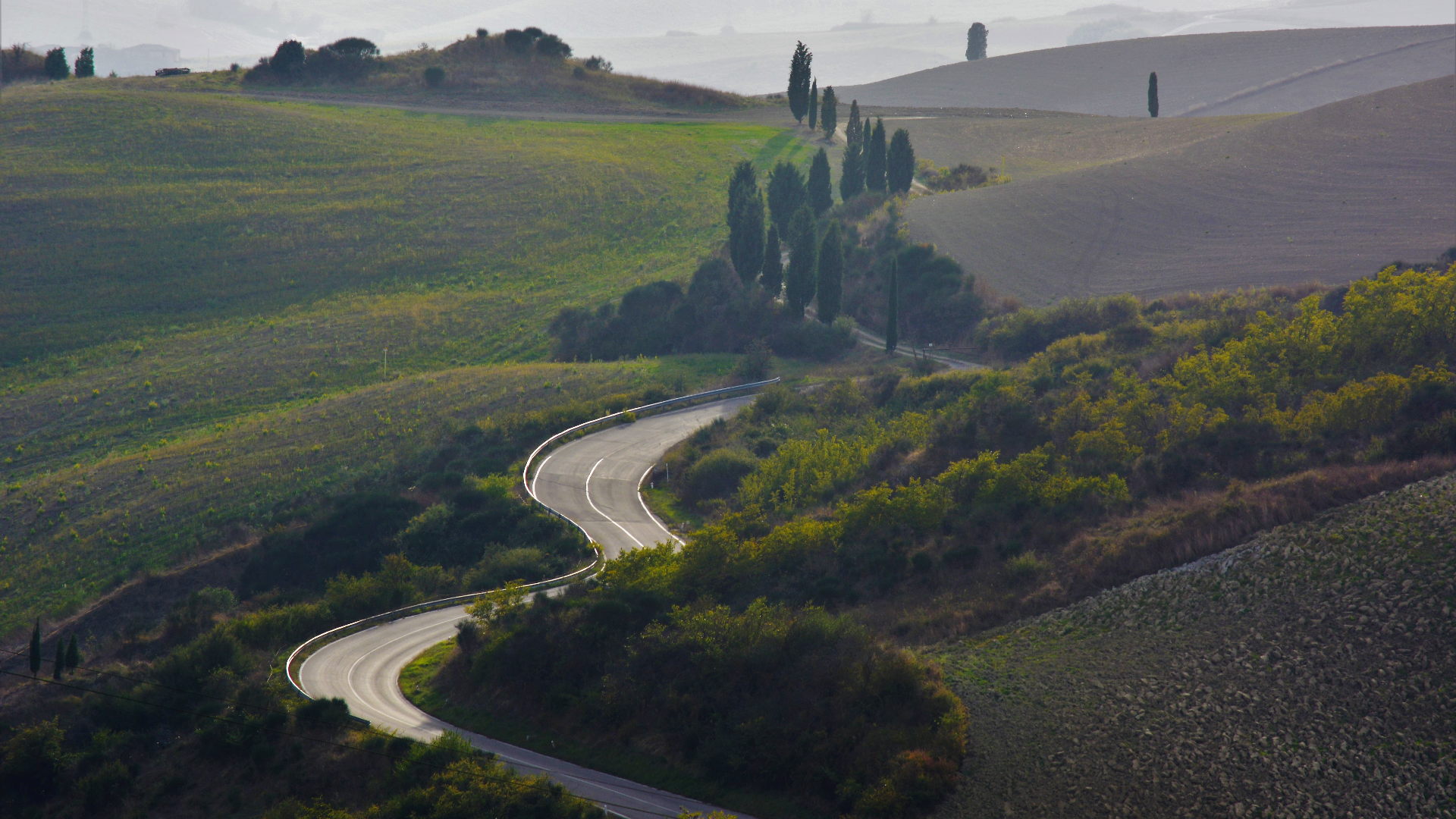 Winding road through rolling hills with cypress trees HD Wallpaper