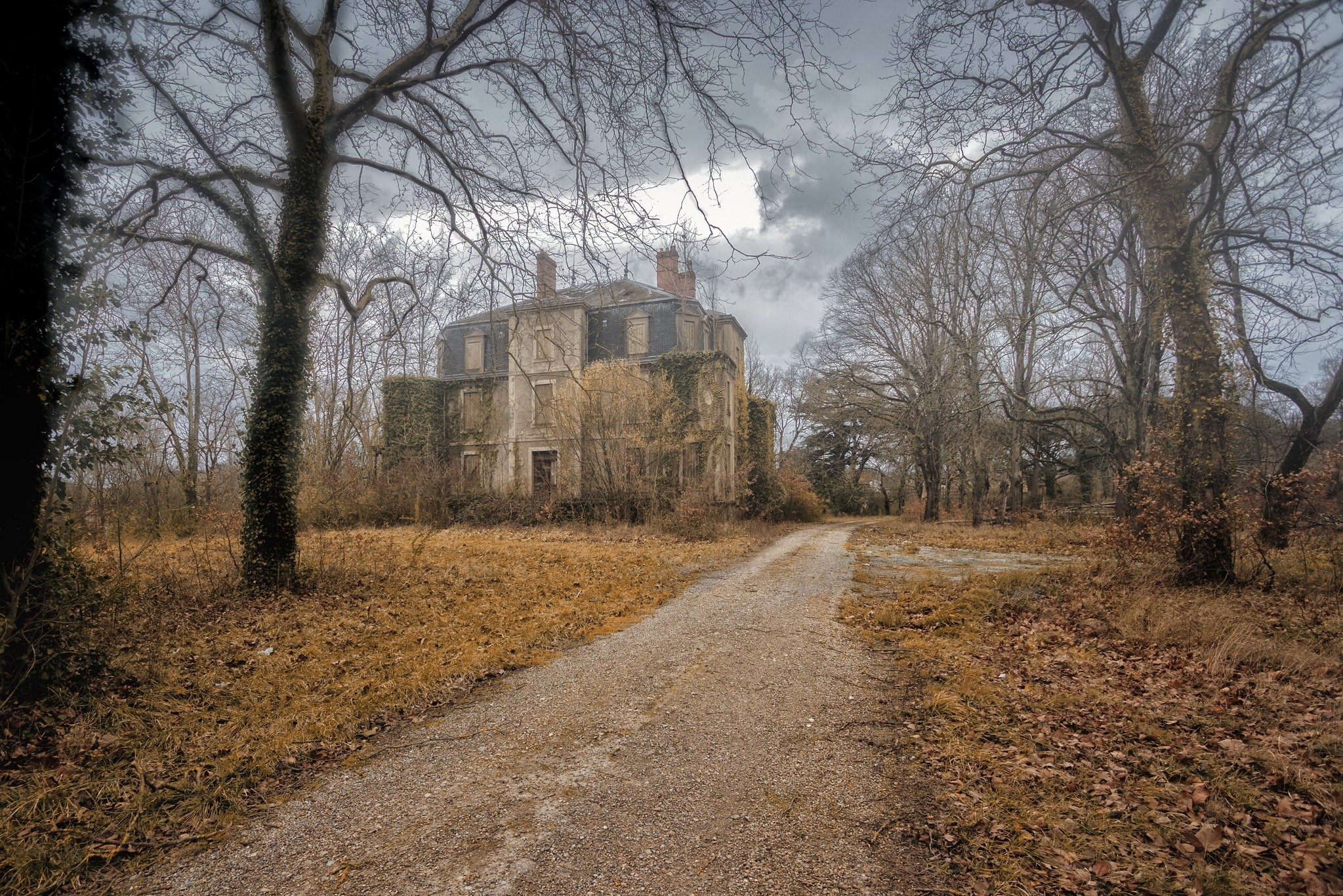 Abandoned house on a dirt road surrounded by trees HD Wallpaper