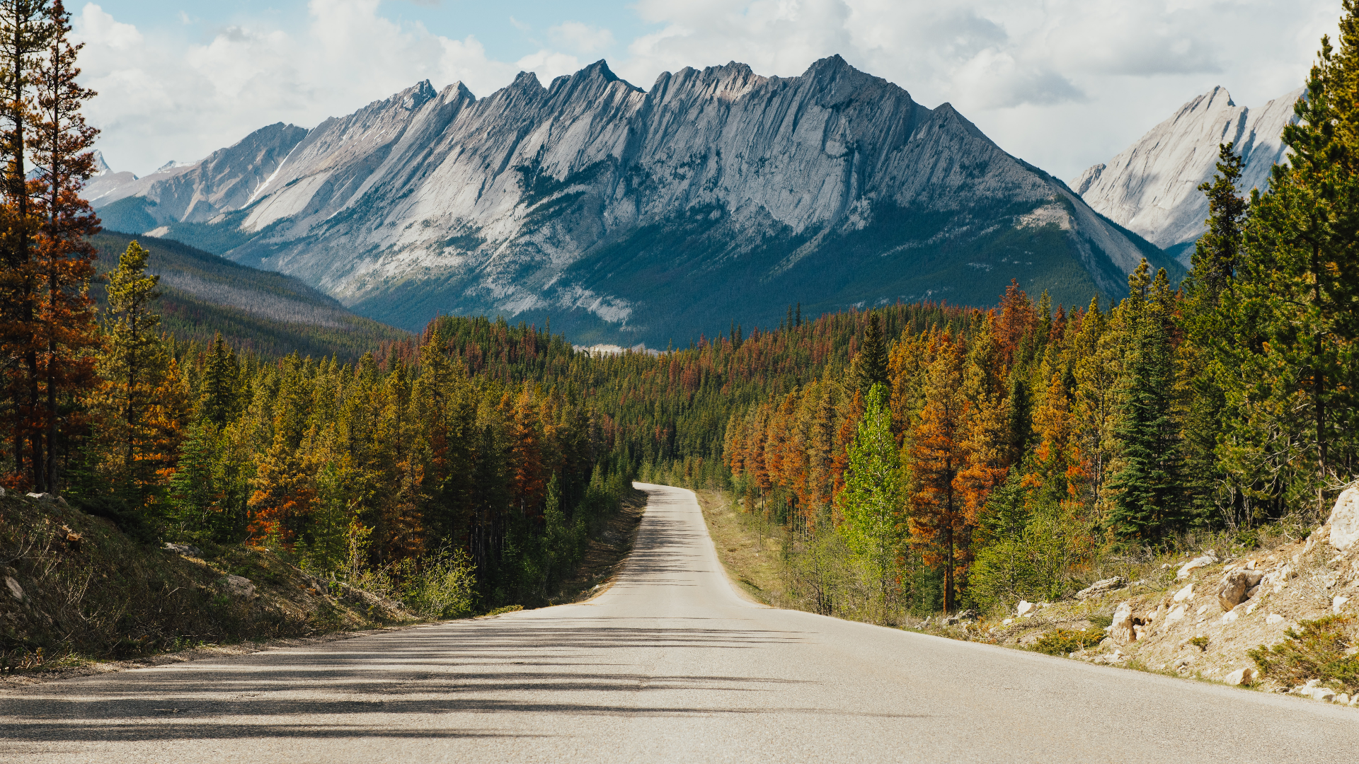 Road through autumn forest to jagged mountains HD Wallpaper