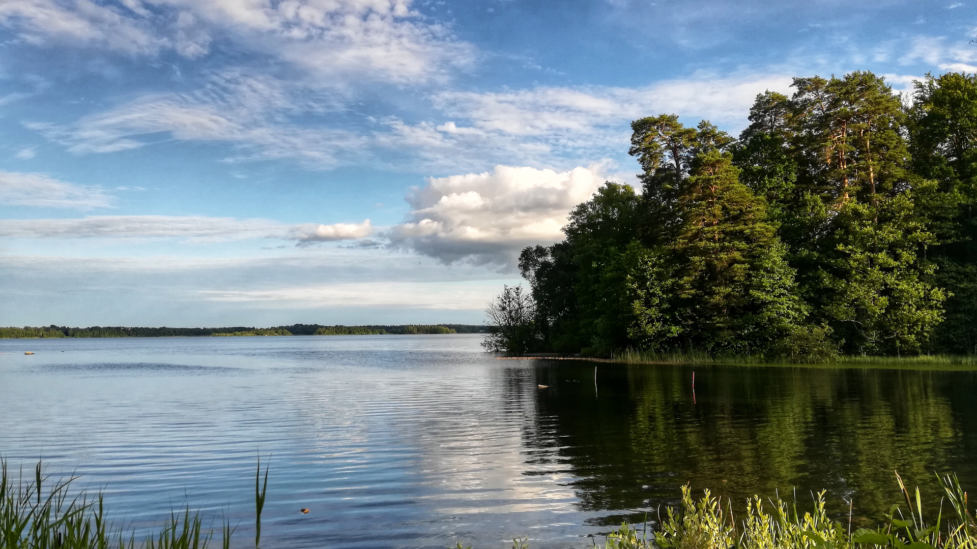 Lake and forest landscape with clouds HD Wallpaper