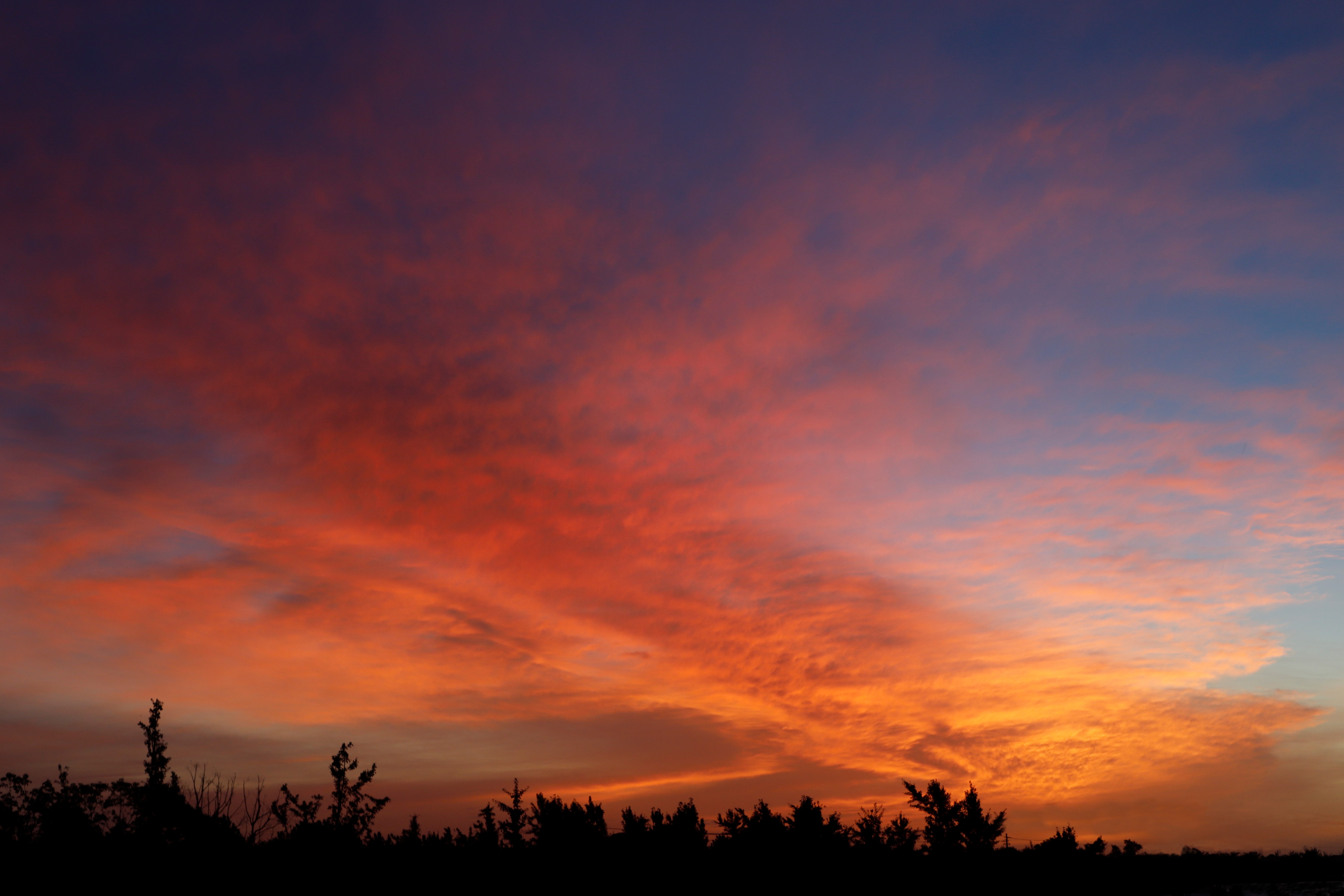 Sunset clouds over silhouetted trees HD Wallpaper