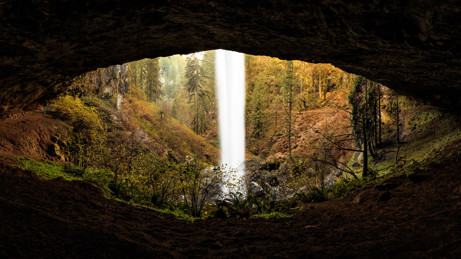 Waterfall seen from inside a cave in Oregon during fall HD Wallpaper