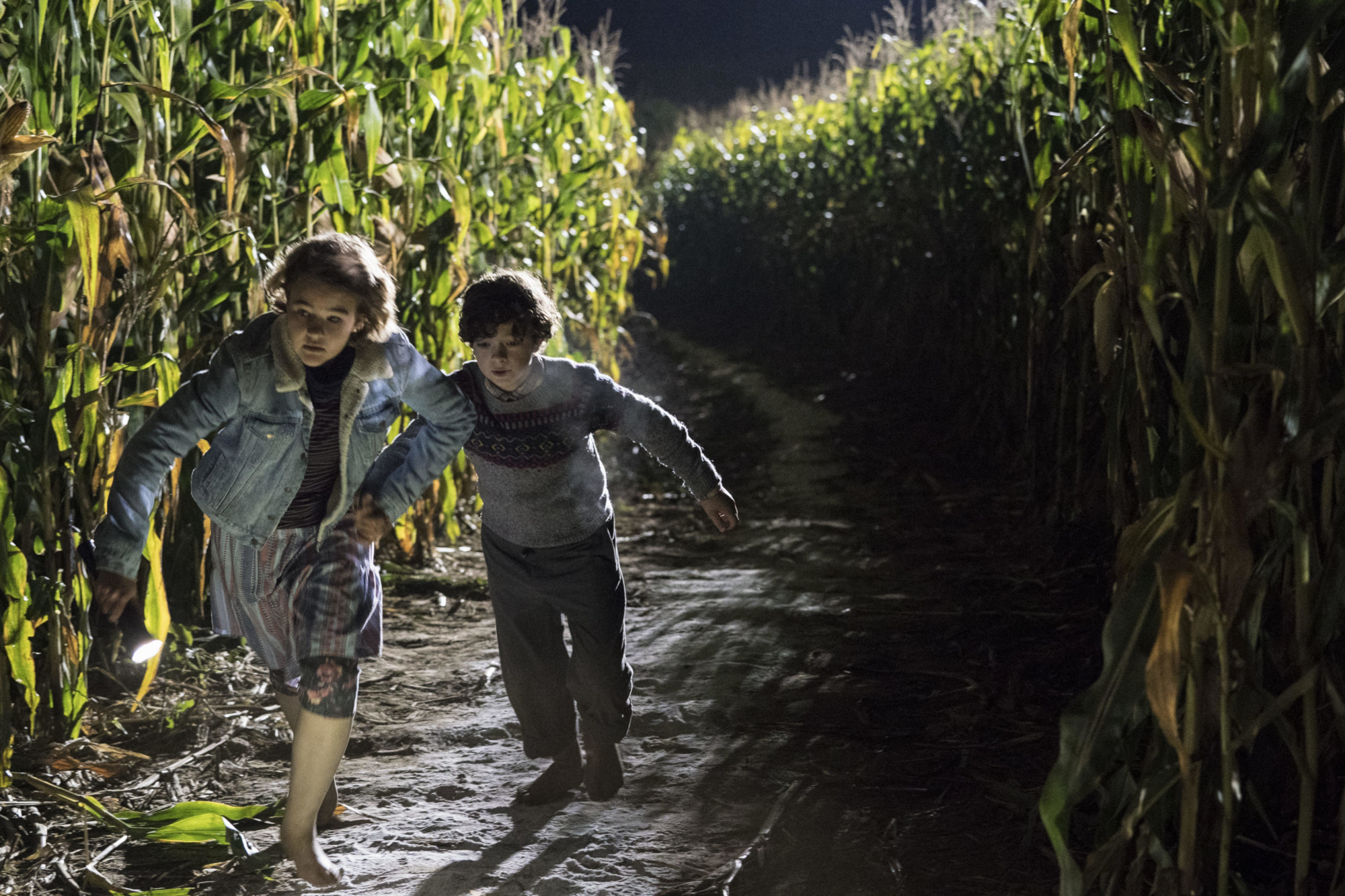 Millicent Simmonds and Noah Jupe in a corn maze HD Wallpaper