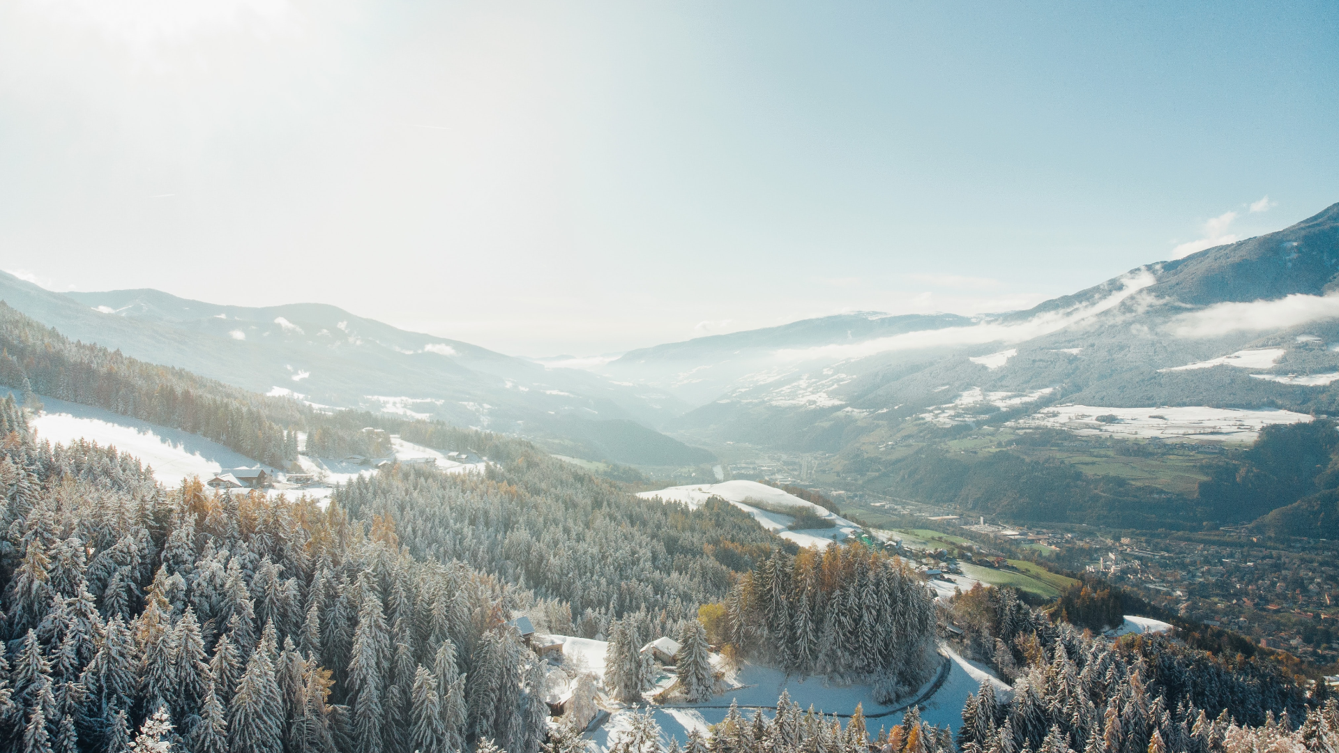 Snow-covered forest and valley in the Alps HD Wallpaper