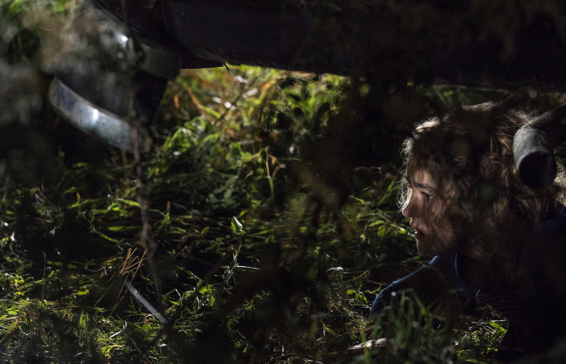 Regan Abbott in A Quiet Place HD Wallpaper