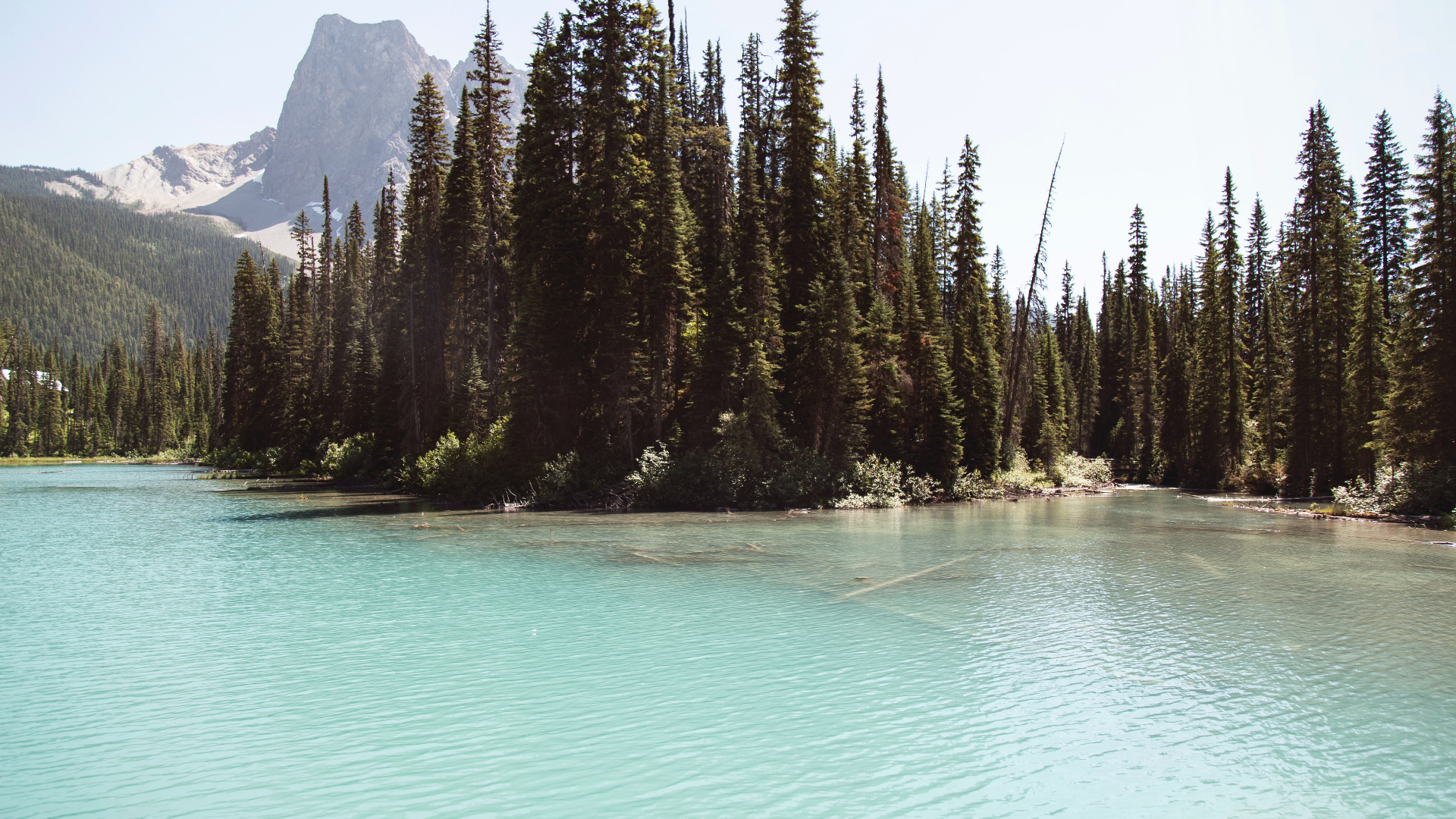 Emerald Lake with Forest and Mountains in Banff, Canada HD Wallpaper