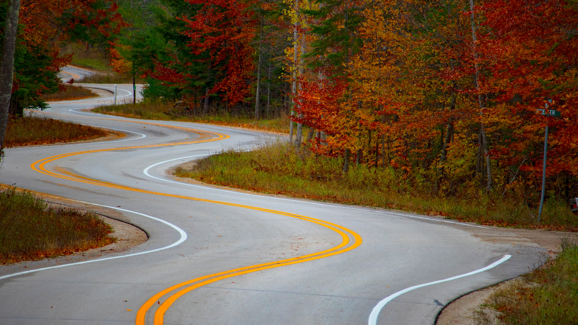 Winding road through autumn forest in Wisconsin HD Wallpaper