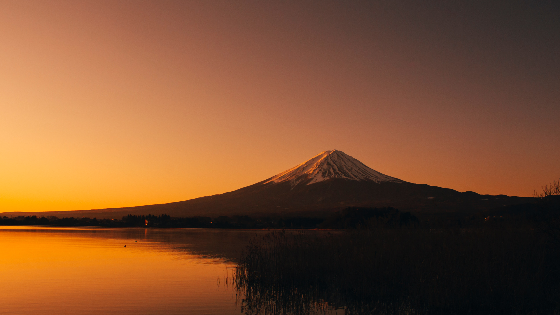 Mount Fuji at sunset over a lake in Japan HD Wallpaper