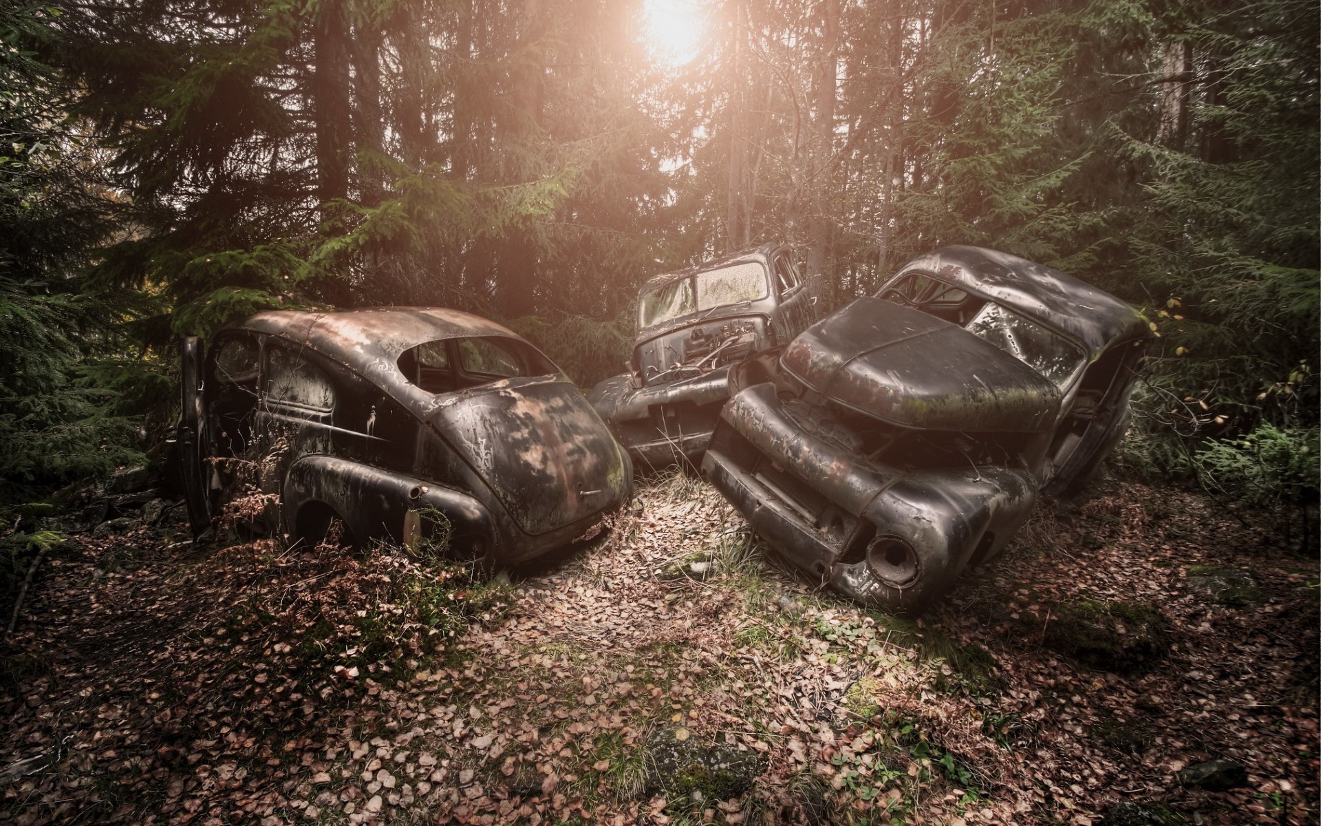 Three abandoned cars in a forest HD Wallpaper