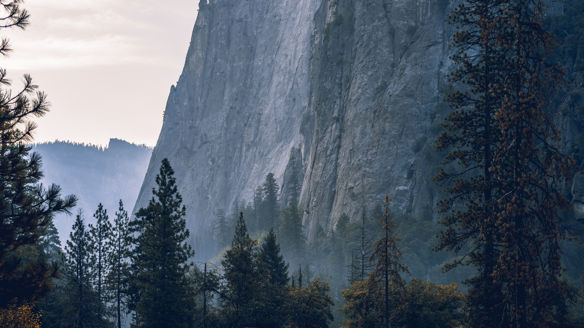 Misty Yosemite Valley with granite cliffs and pine trees HD Wallpaper