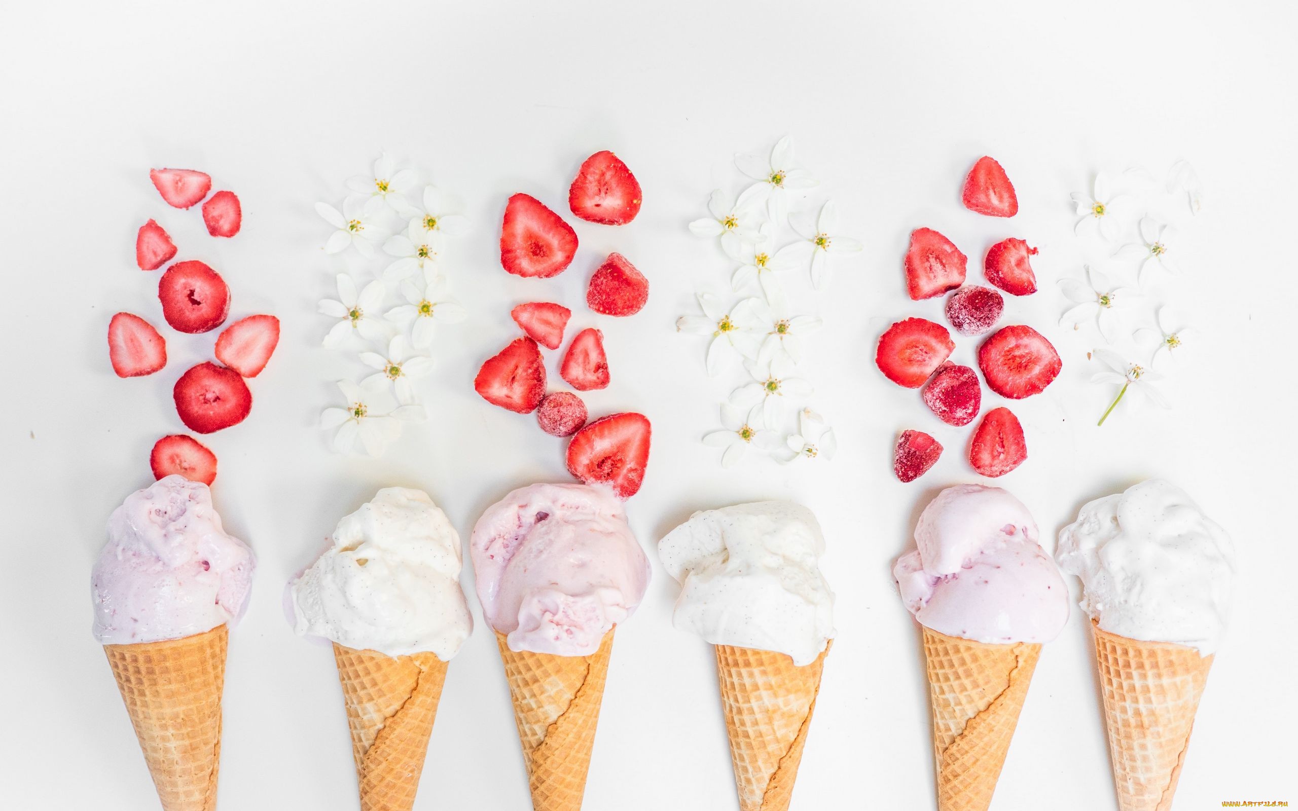 Ice cream cones with strawberries and white flowers HD Wallpaper