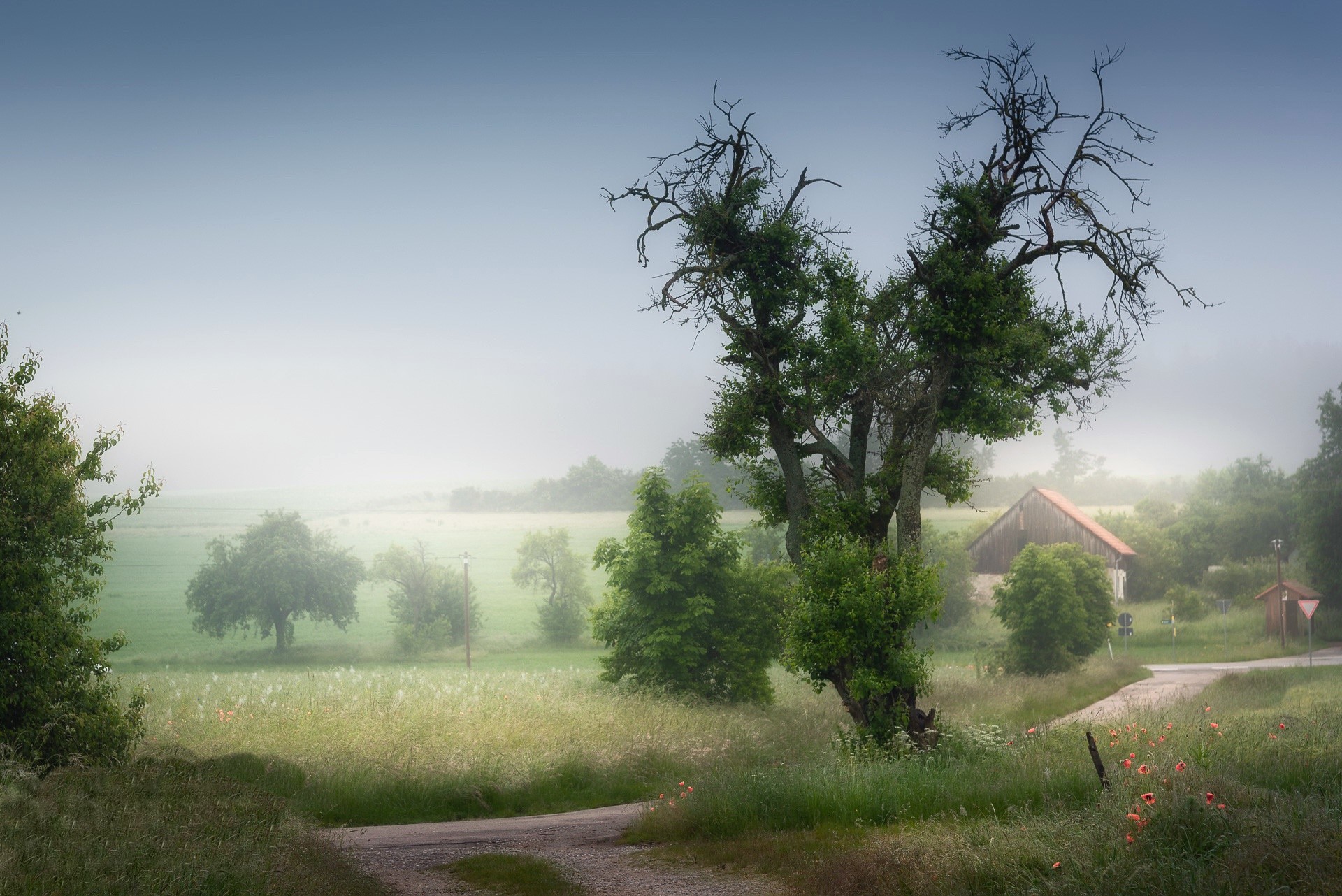 Misty rural landscape with trees and a barn HD Wallpaper