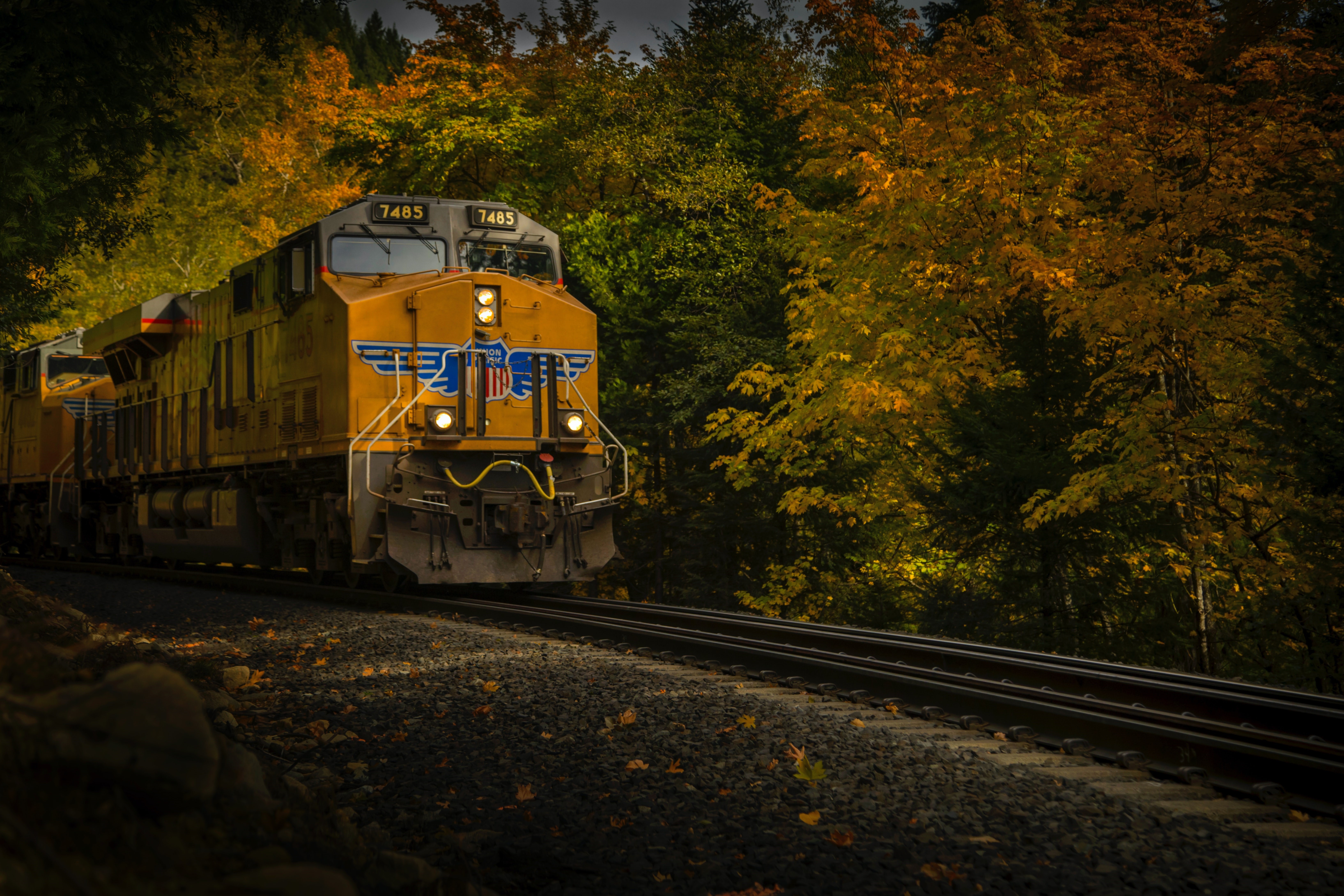 Yellow Union Pacific locomotive in autumn forest HD Wallpaper