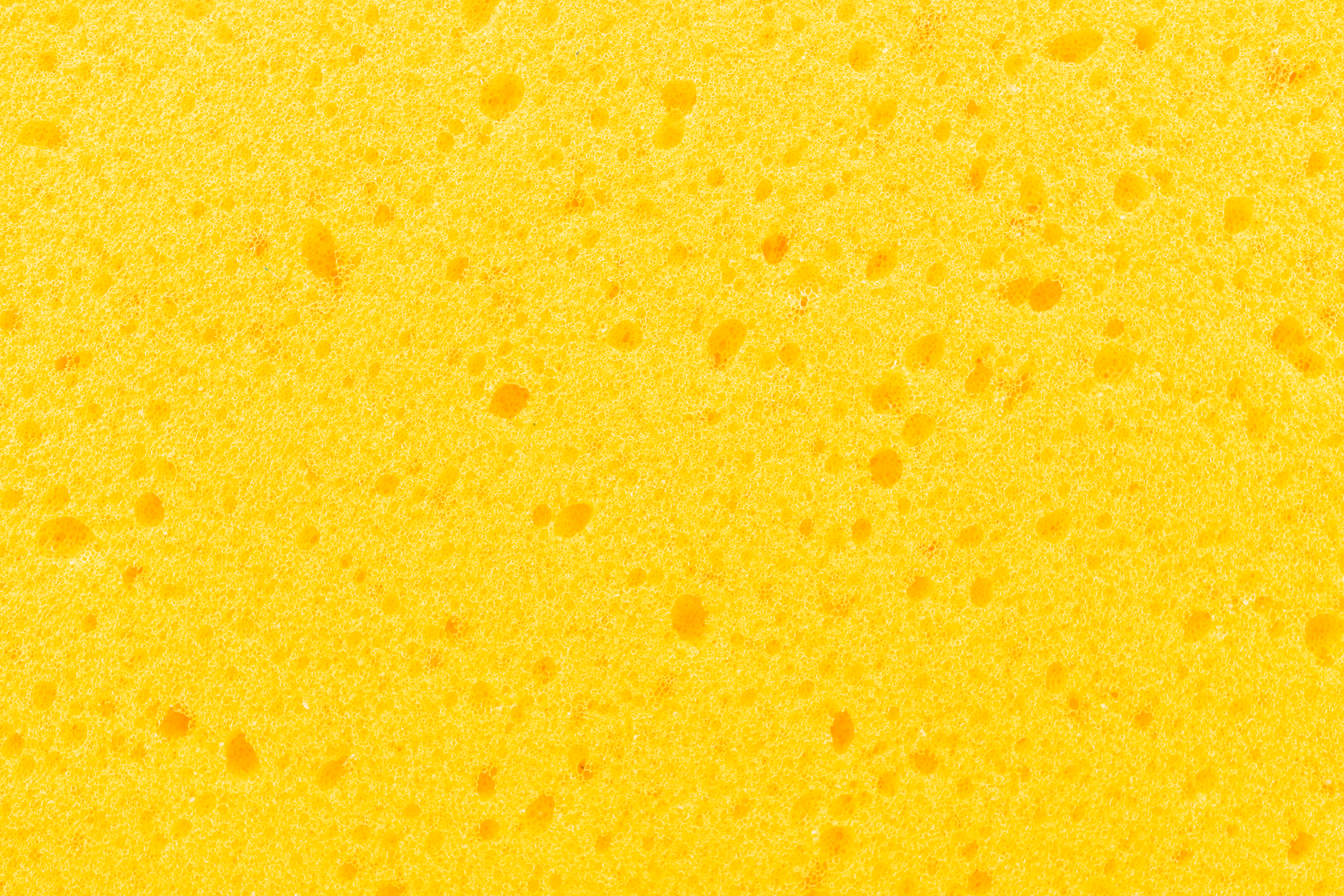 Yellow Sponge Texture 4K HD Wallpaper