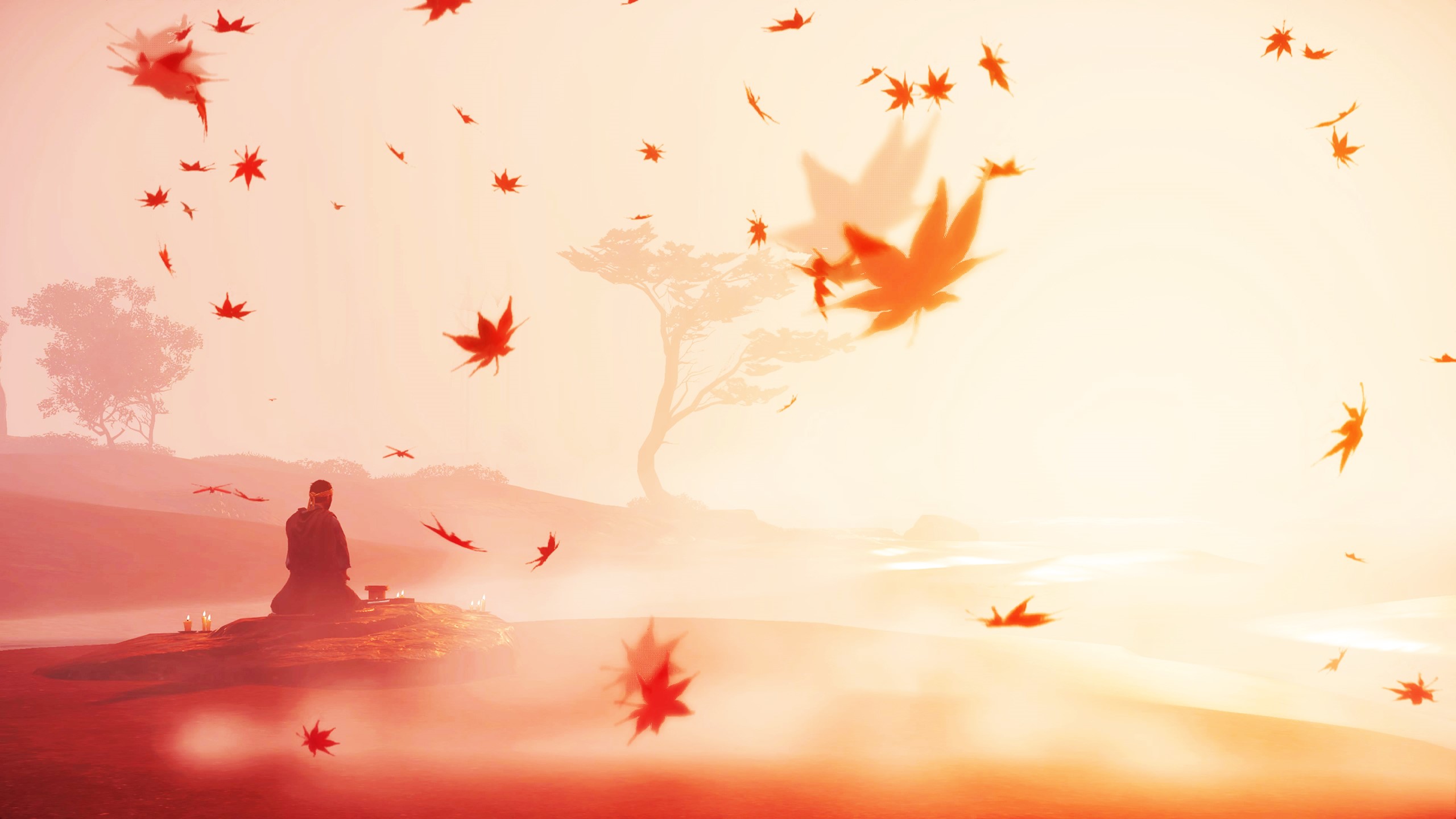 Man meditating amidst falling leaves in Ghost of Tsushima HD Wallpaper