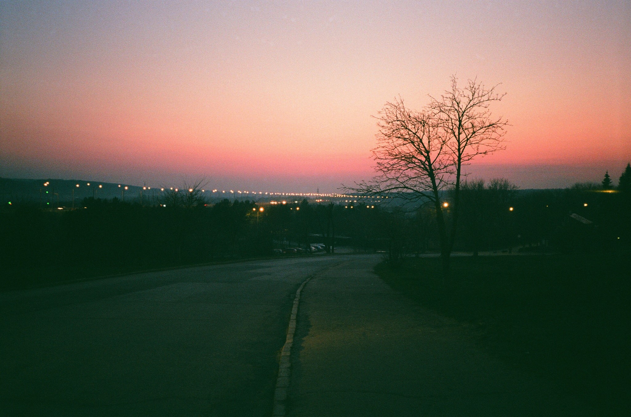 Road at dusk with distant city lights and bare tree HD Wallpaper