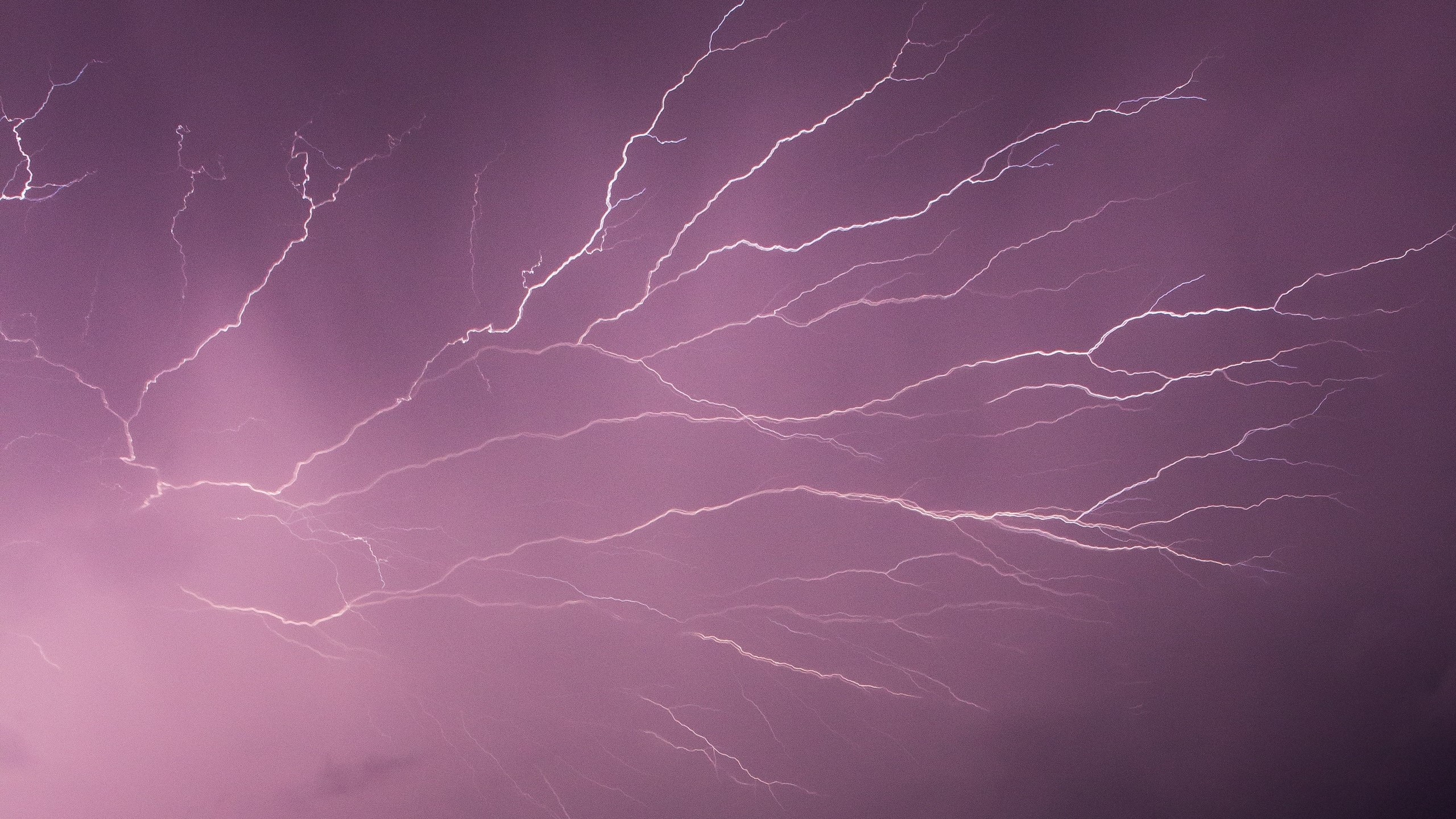 Lightning strikes across a purple night sky HD Wallpaper