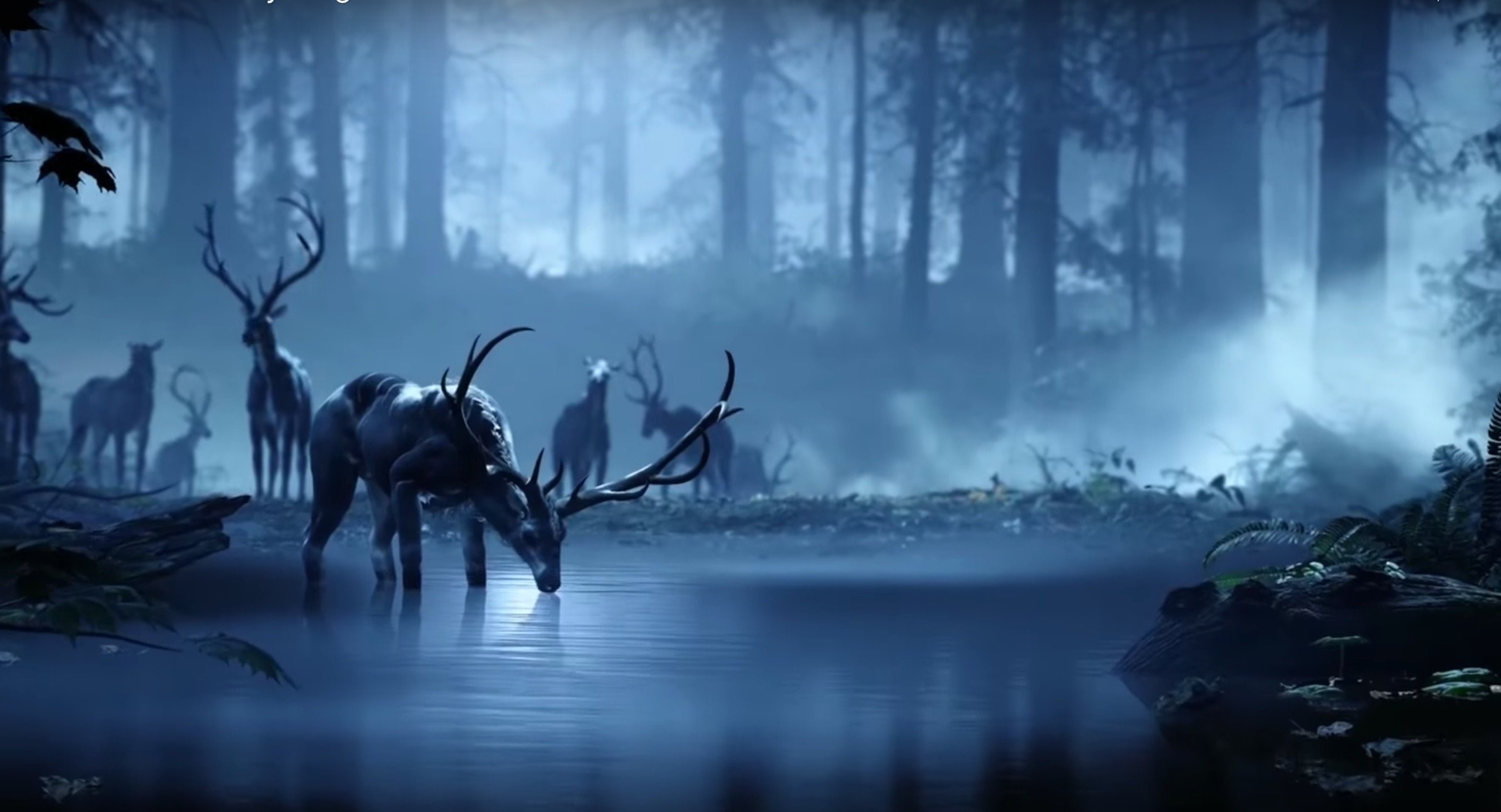 Deer drinking water in a foggy forest HD Wallpaper