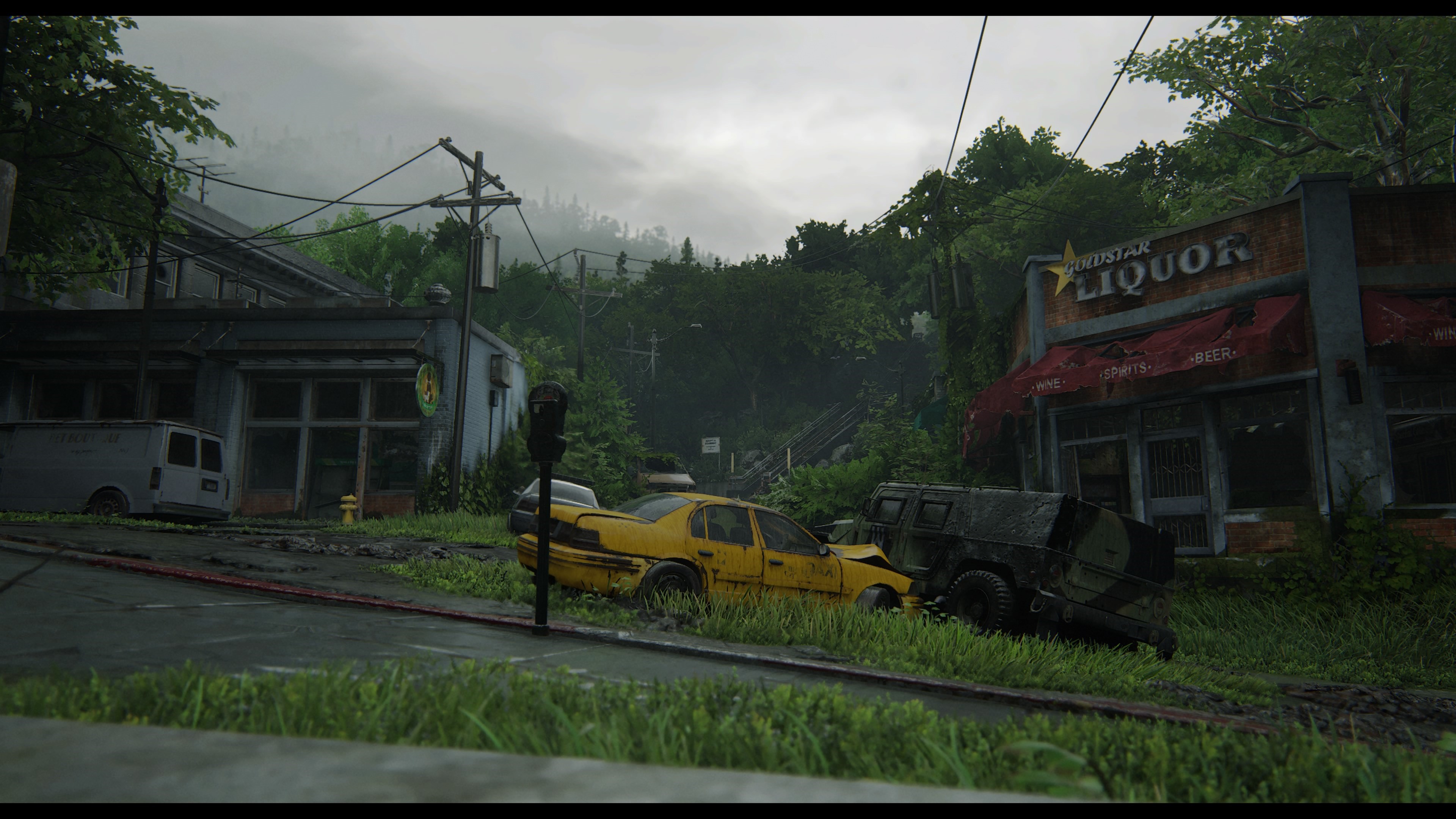 4K The Last of Us 2 HD Wallpaper
