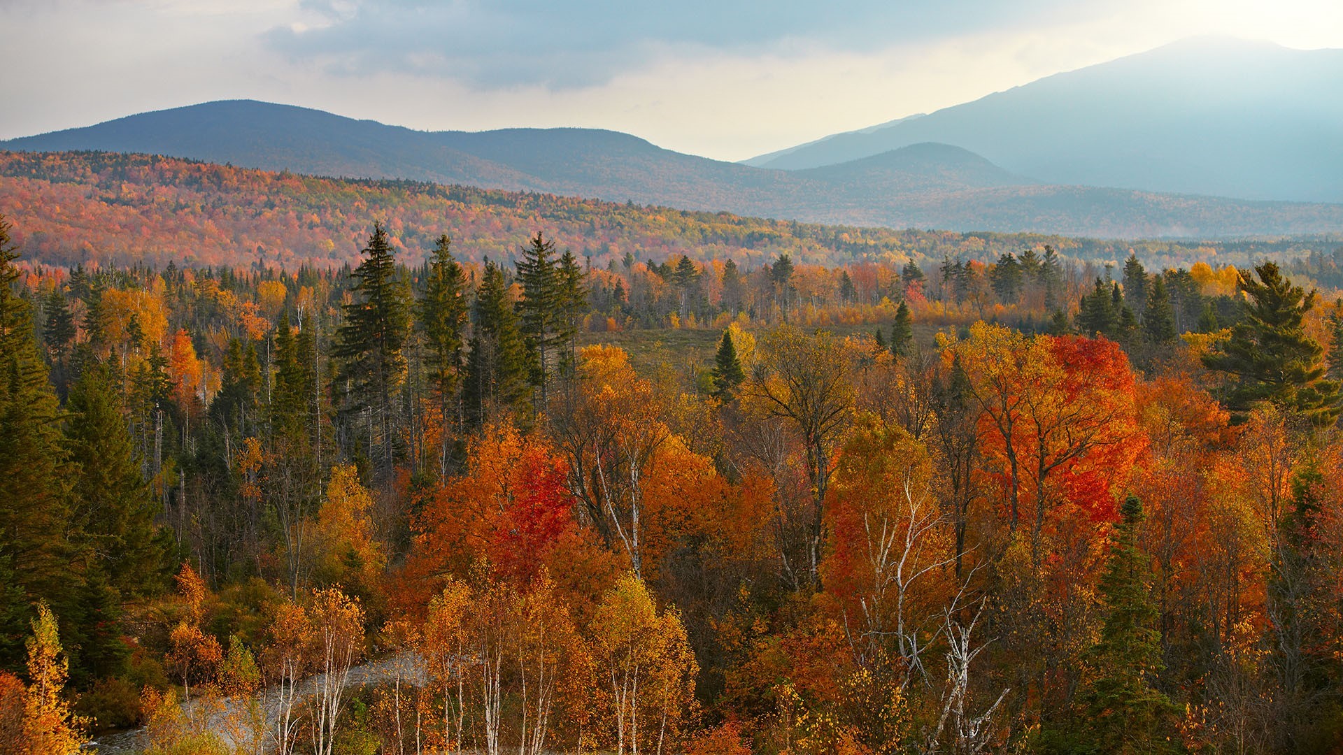 Autumn forest landscape with mountains in New Hampshire, USA HD Wallpaper