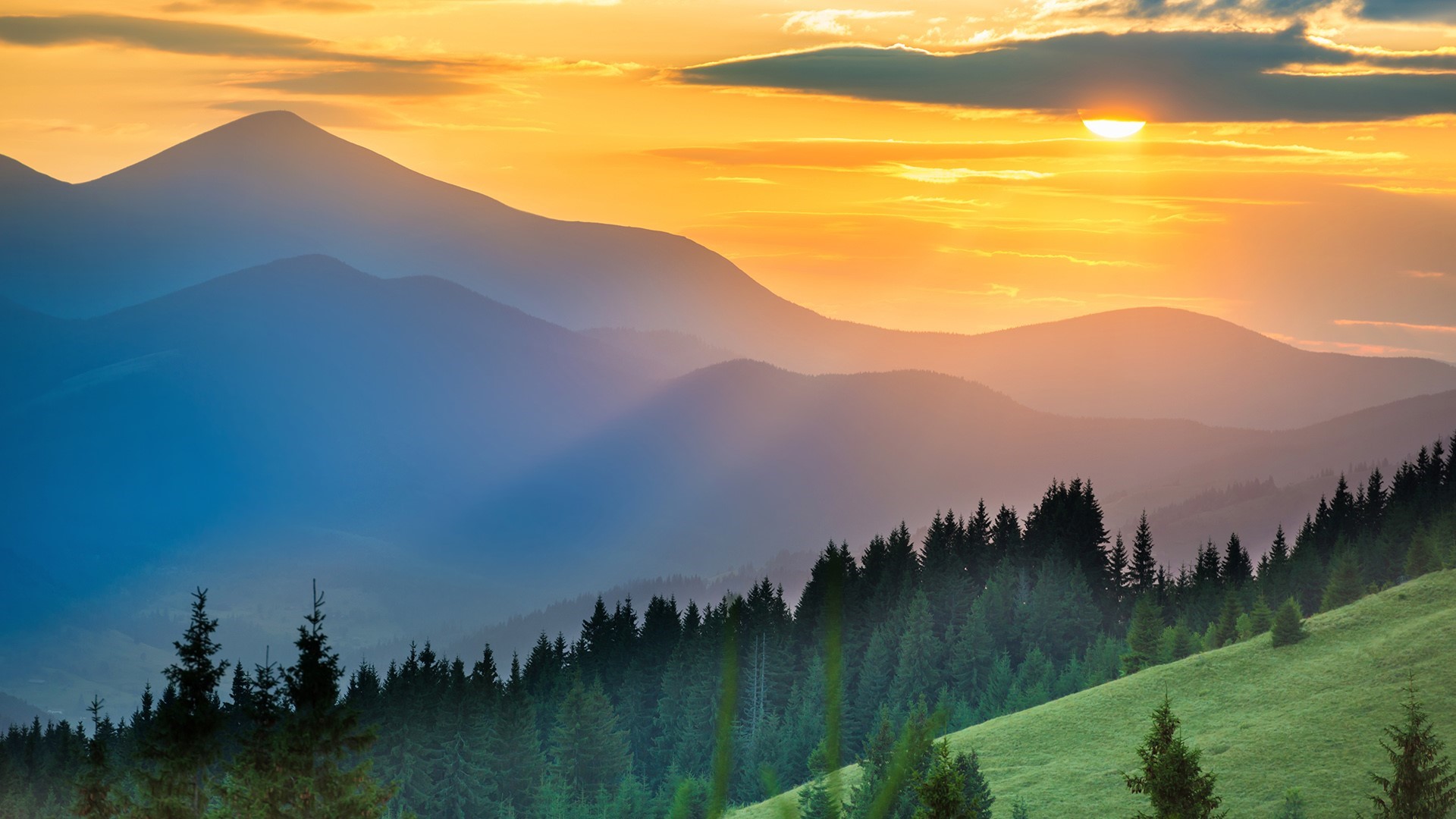 Misty mountains at sunset with a forest in the foreground HD Wallpaper