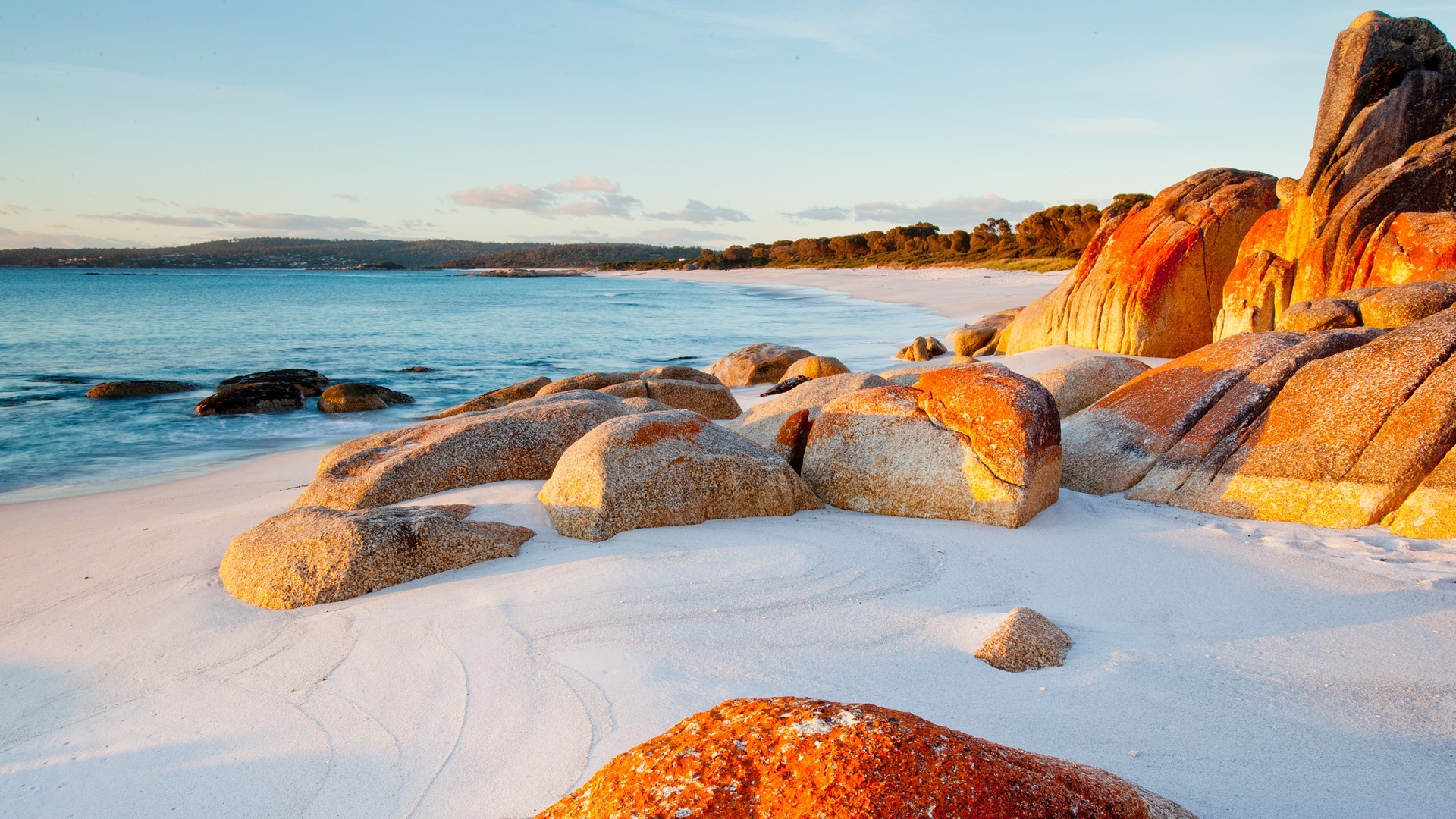 Orange lichen-covered rocks on a sandy beach in Tasmania at sunset HD Wallpaper