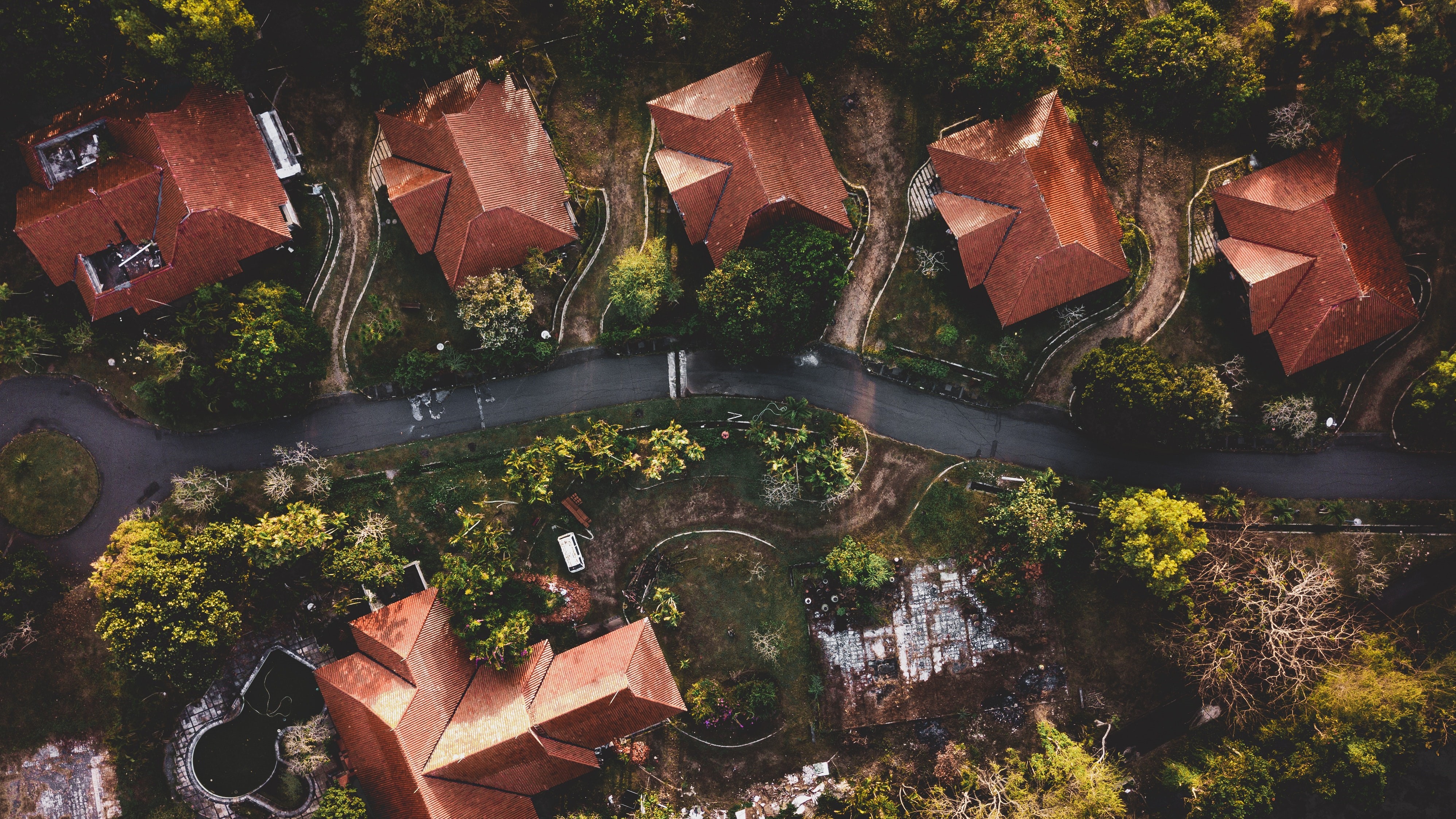 Aerial view of abandoned houses with red roofs surrounded by trees HD Wallpaper