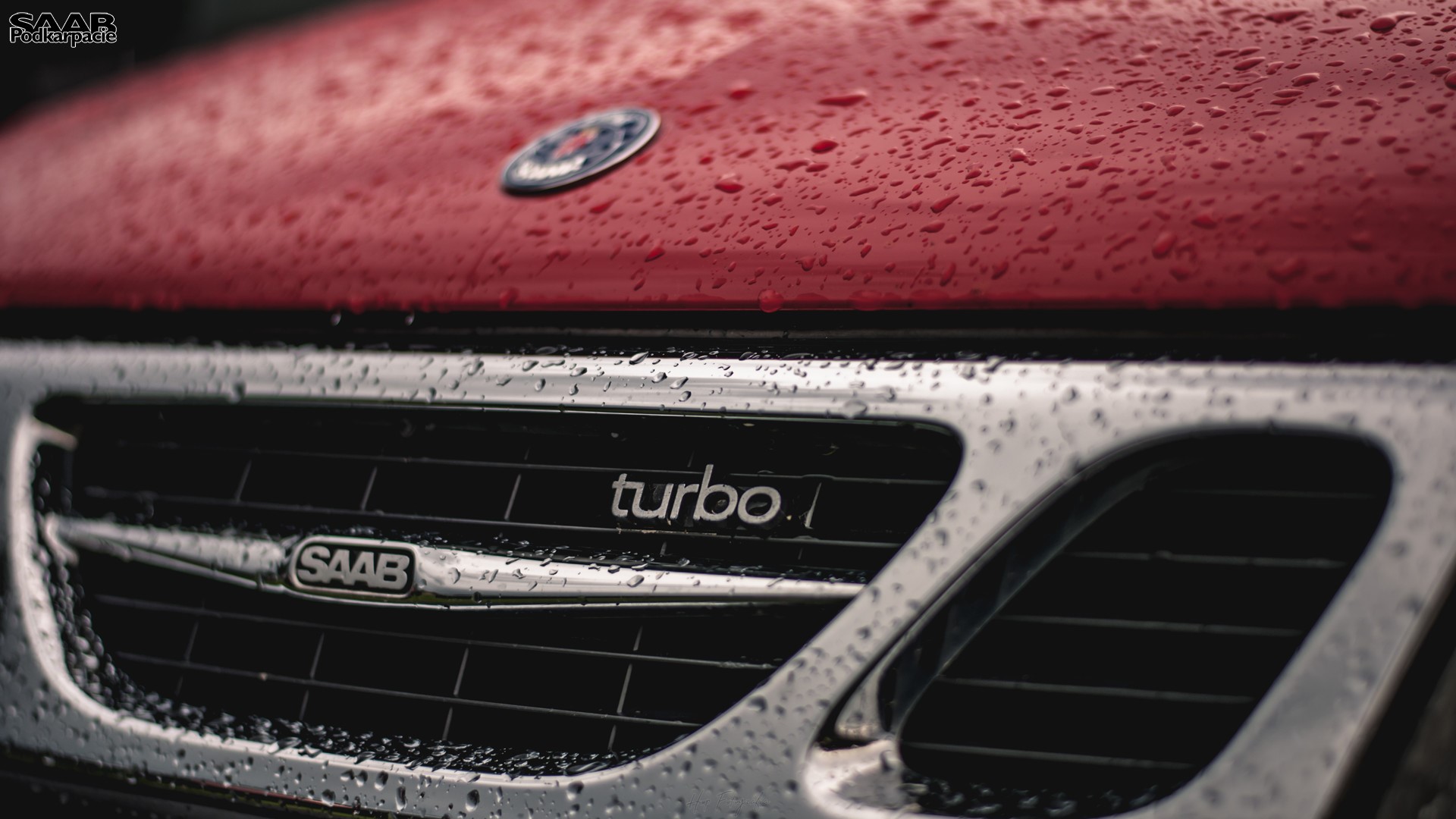 Red Saab Turbo car grille with water droplets HD Wallpaper