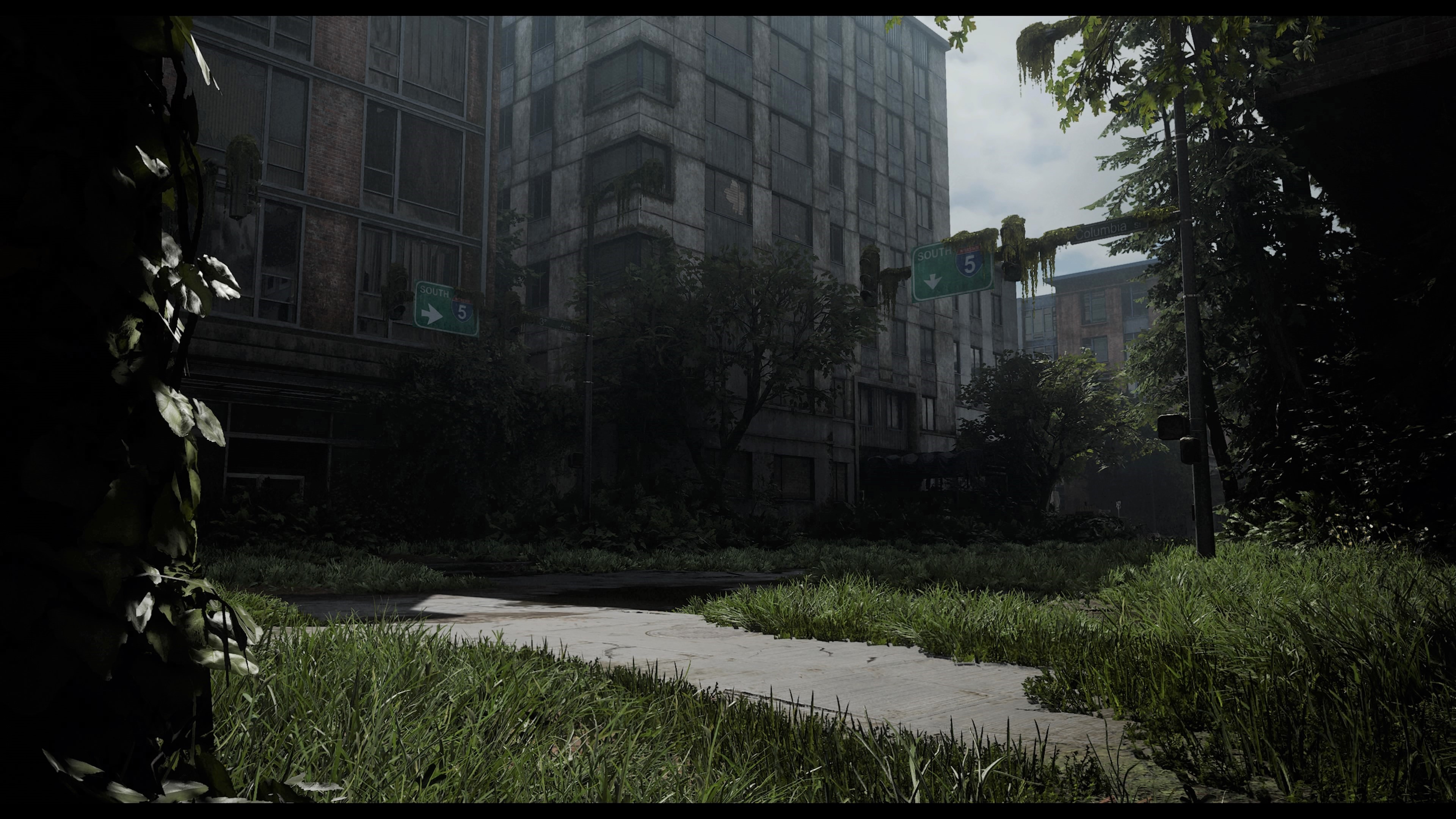 The Last of Us 2 4K video game HD Wallpaper