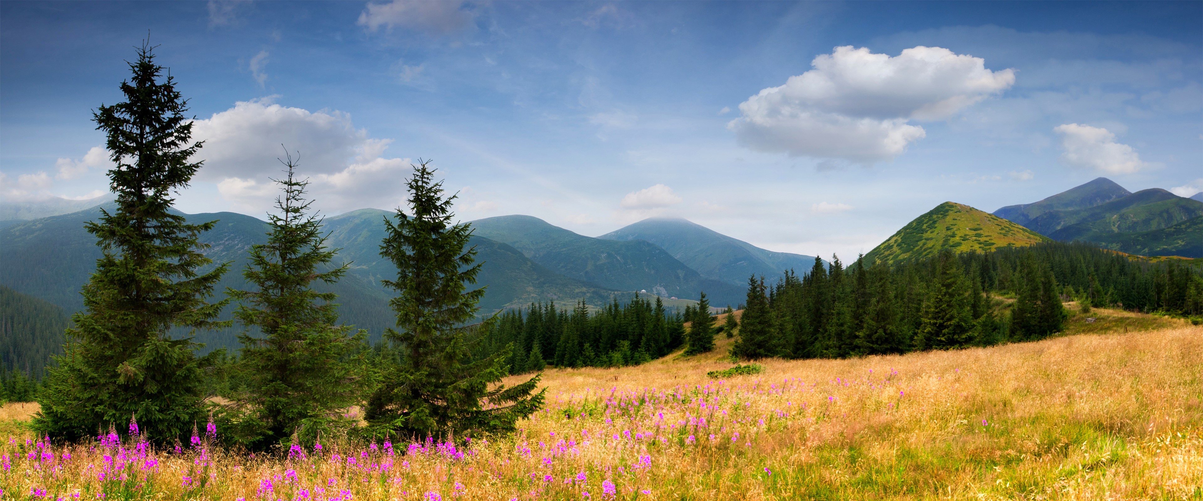 4K Mountain Landscape with Trees and Flowers HD Wallpaper