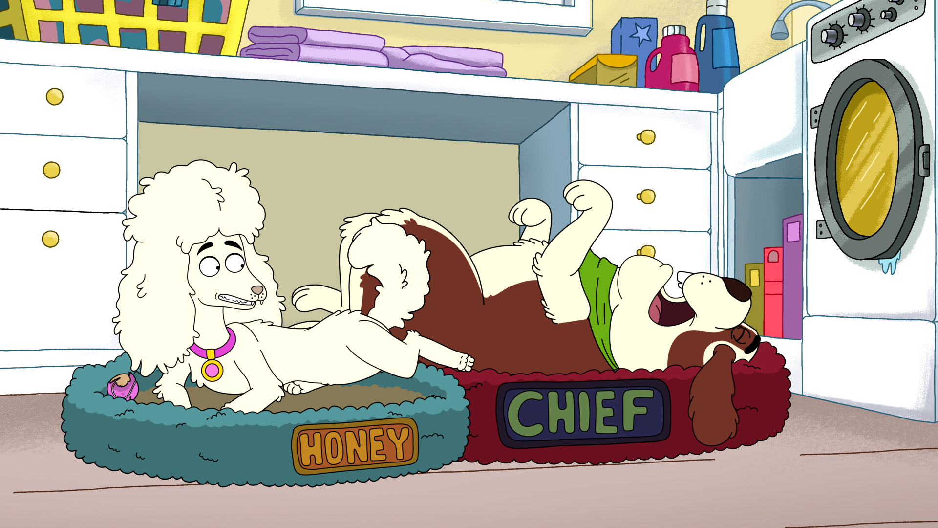 Honey and Chief dogs in laundry room HD Wallpaper